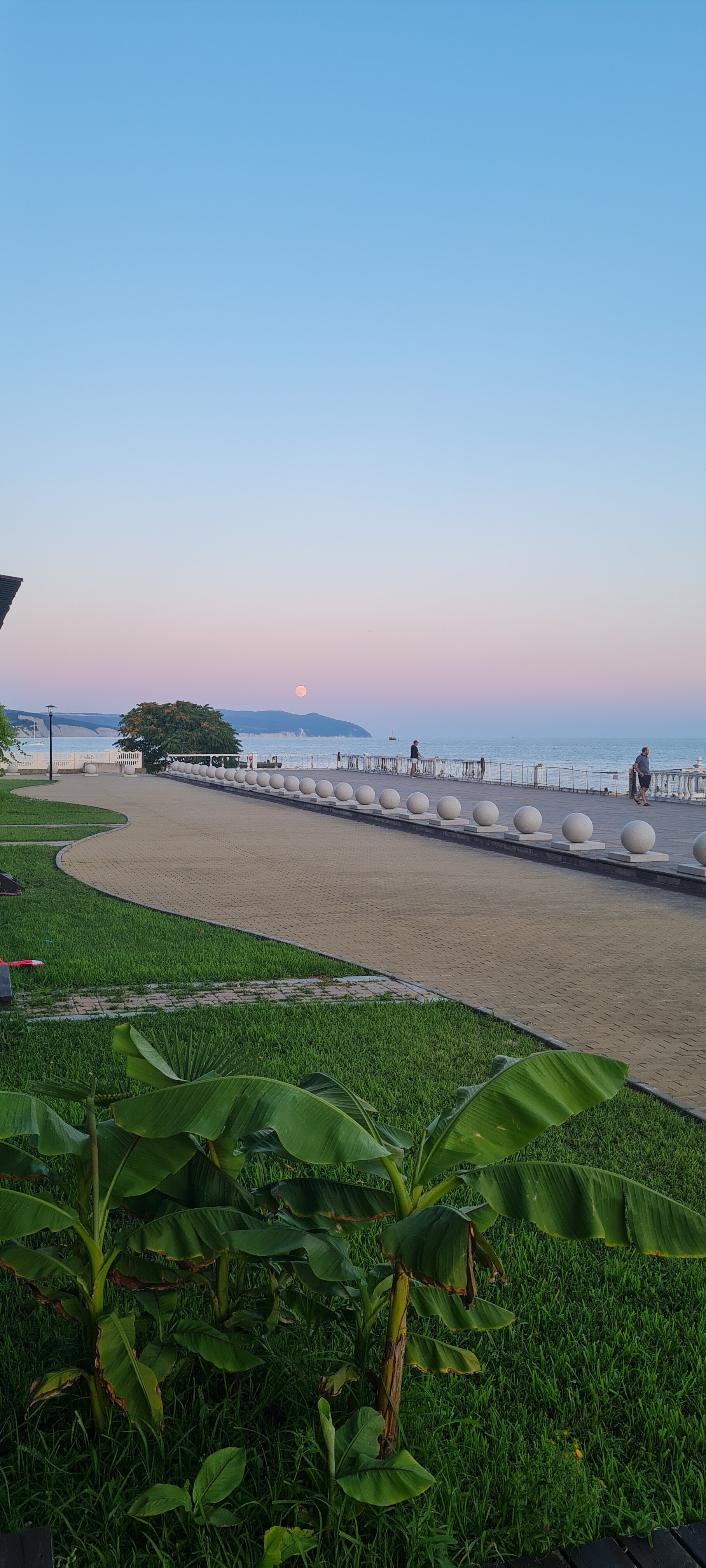 Фото Апартаменты