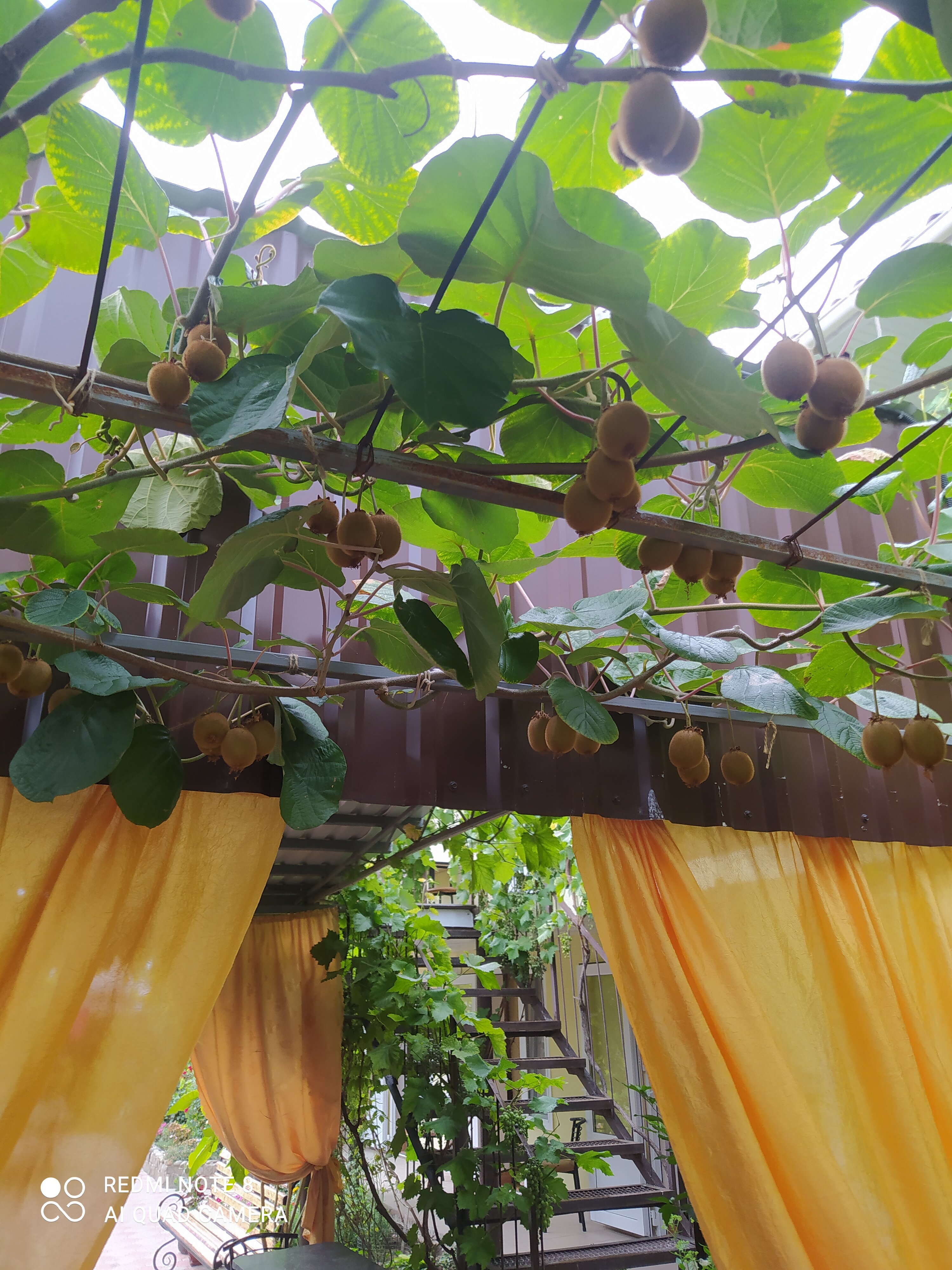 Фото У Петровича