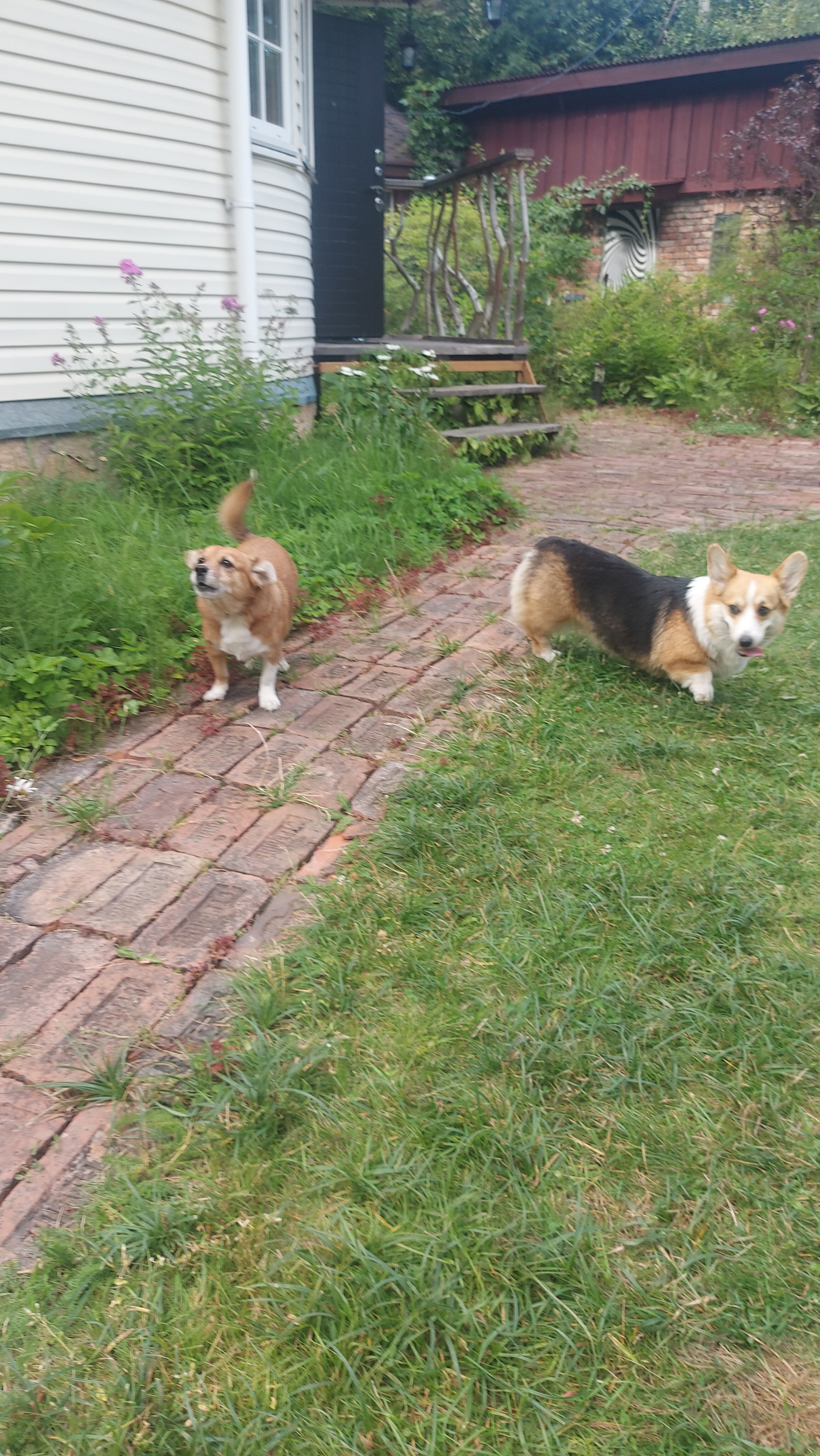 Фото Тарховка