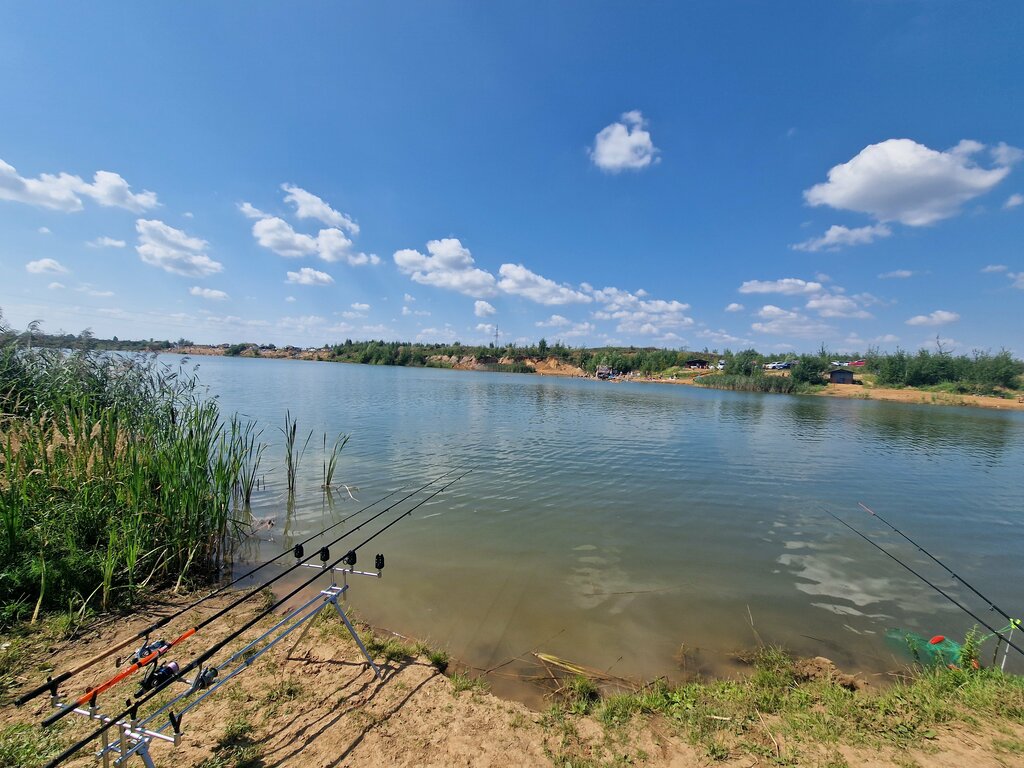 Belugafish московская область городской округ подольск фото