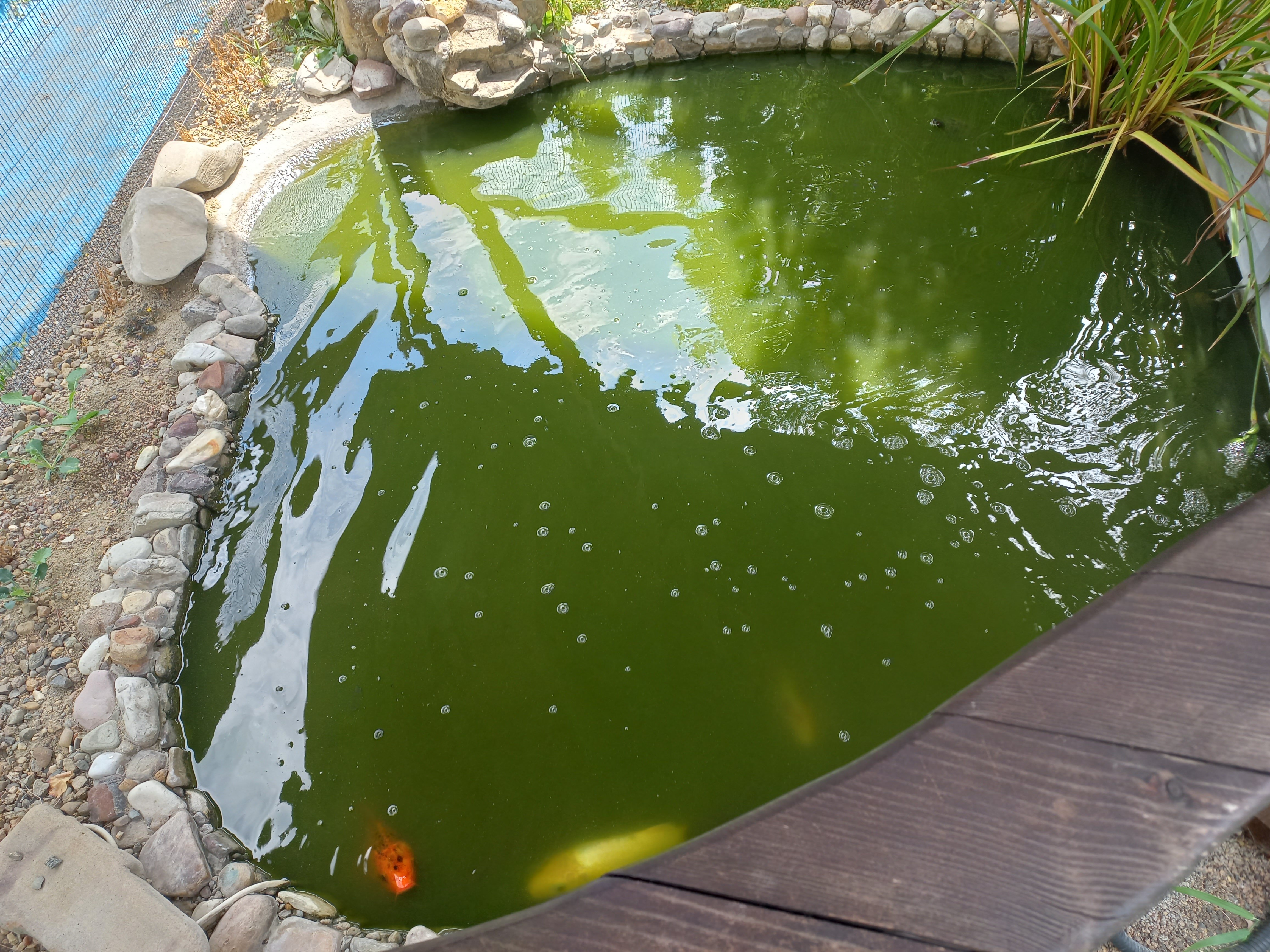 Фото Седьмое небо