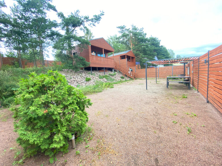 Фото Дом студия Forest deer