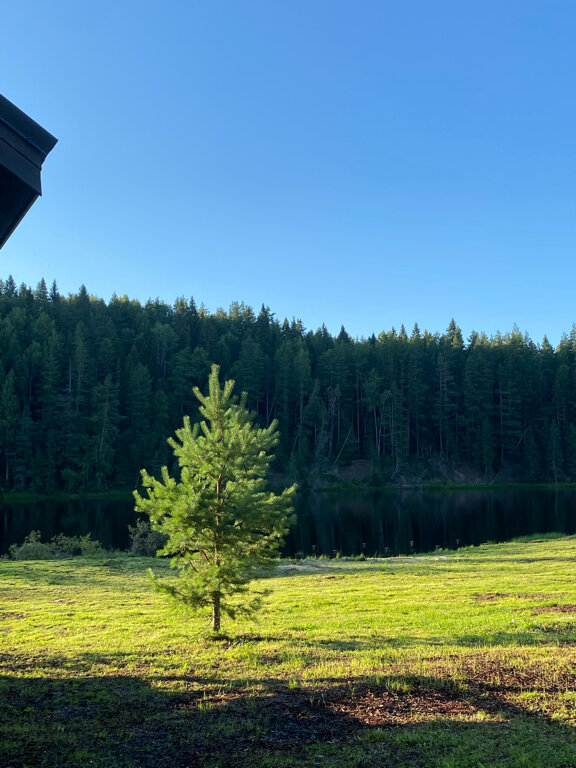 Фото Ёкиранта