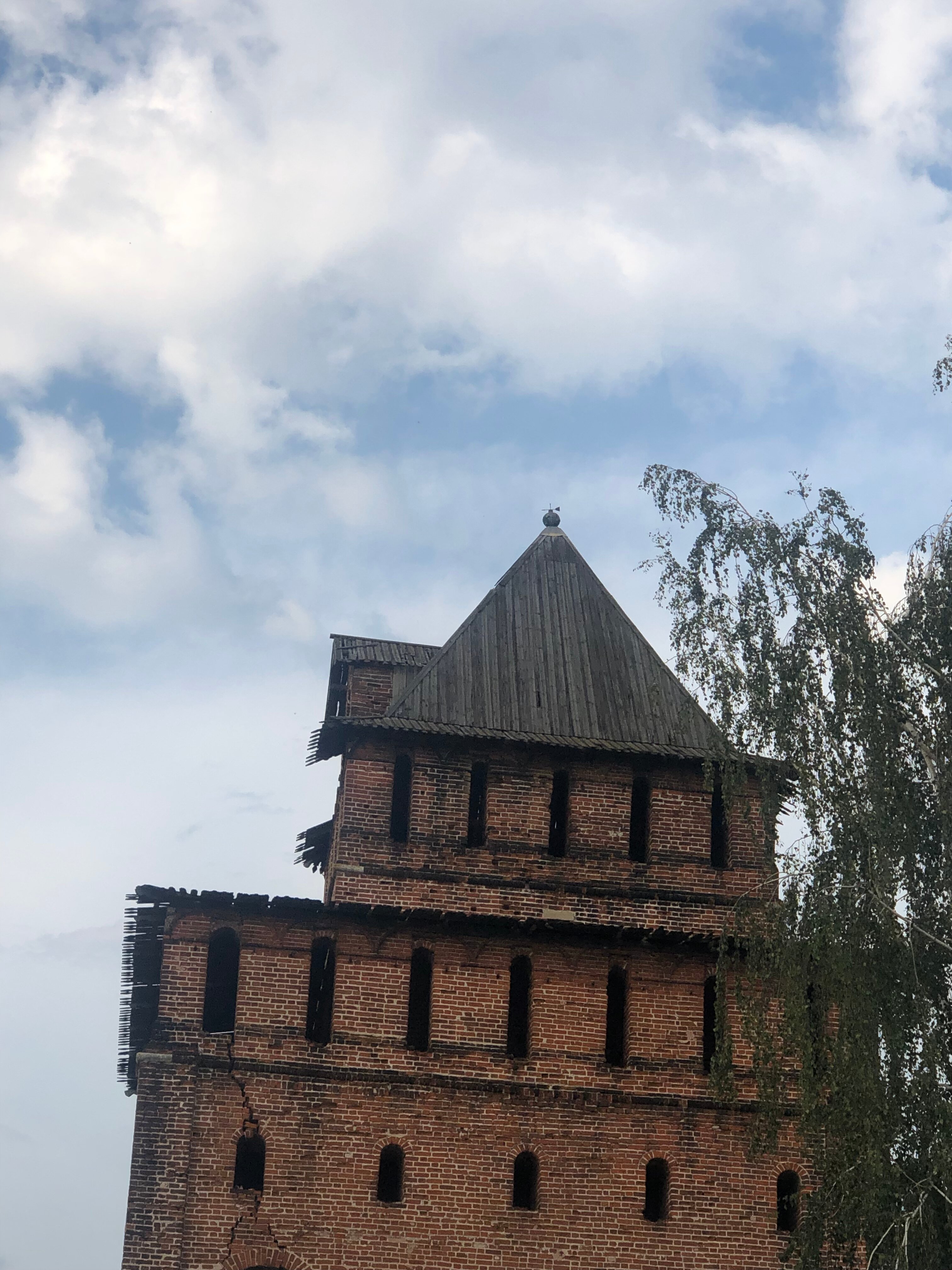 Фото  Гнездо