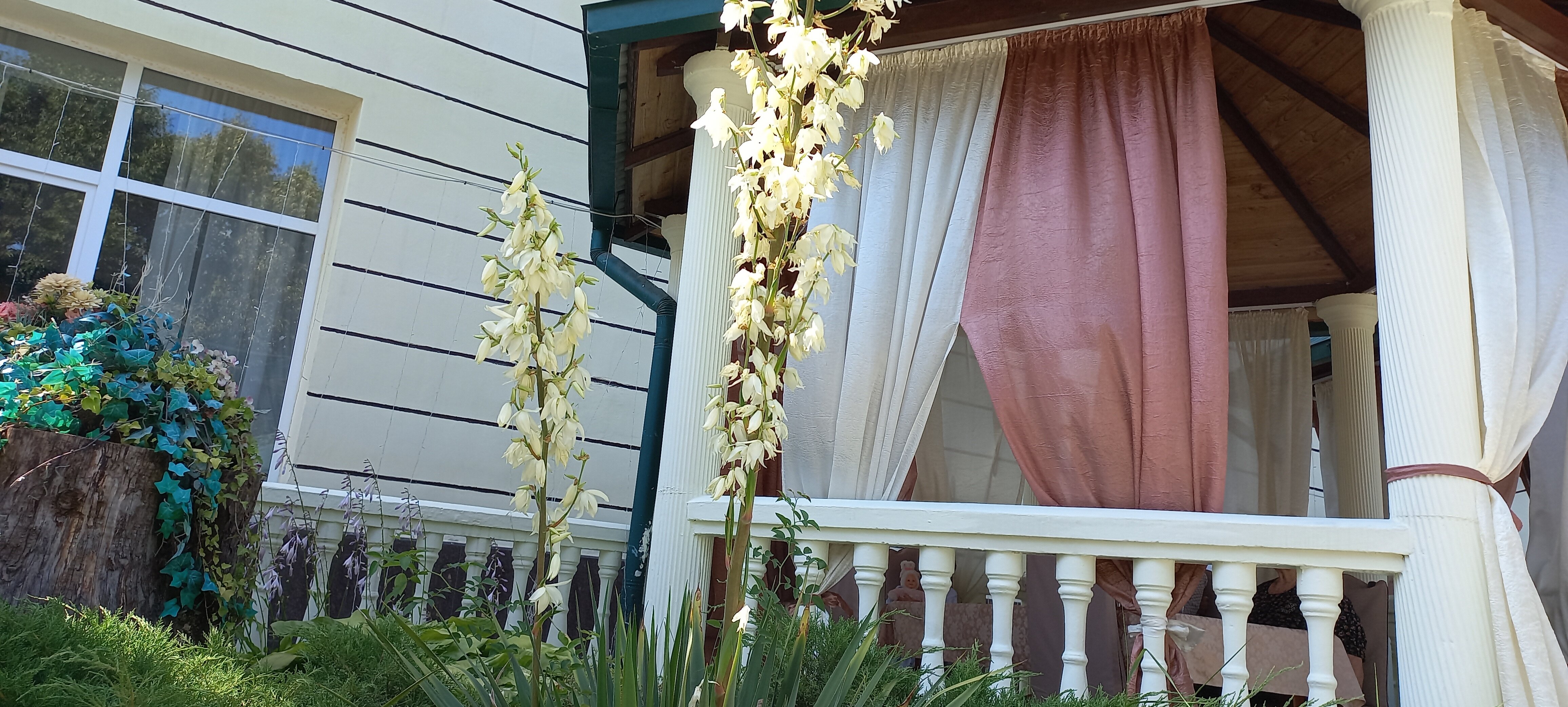 Фото Джамиля