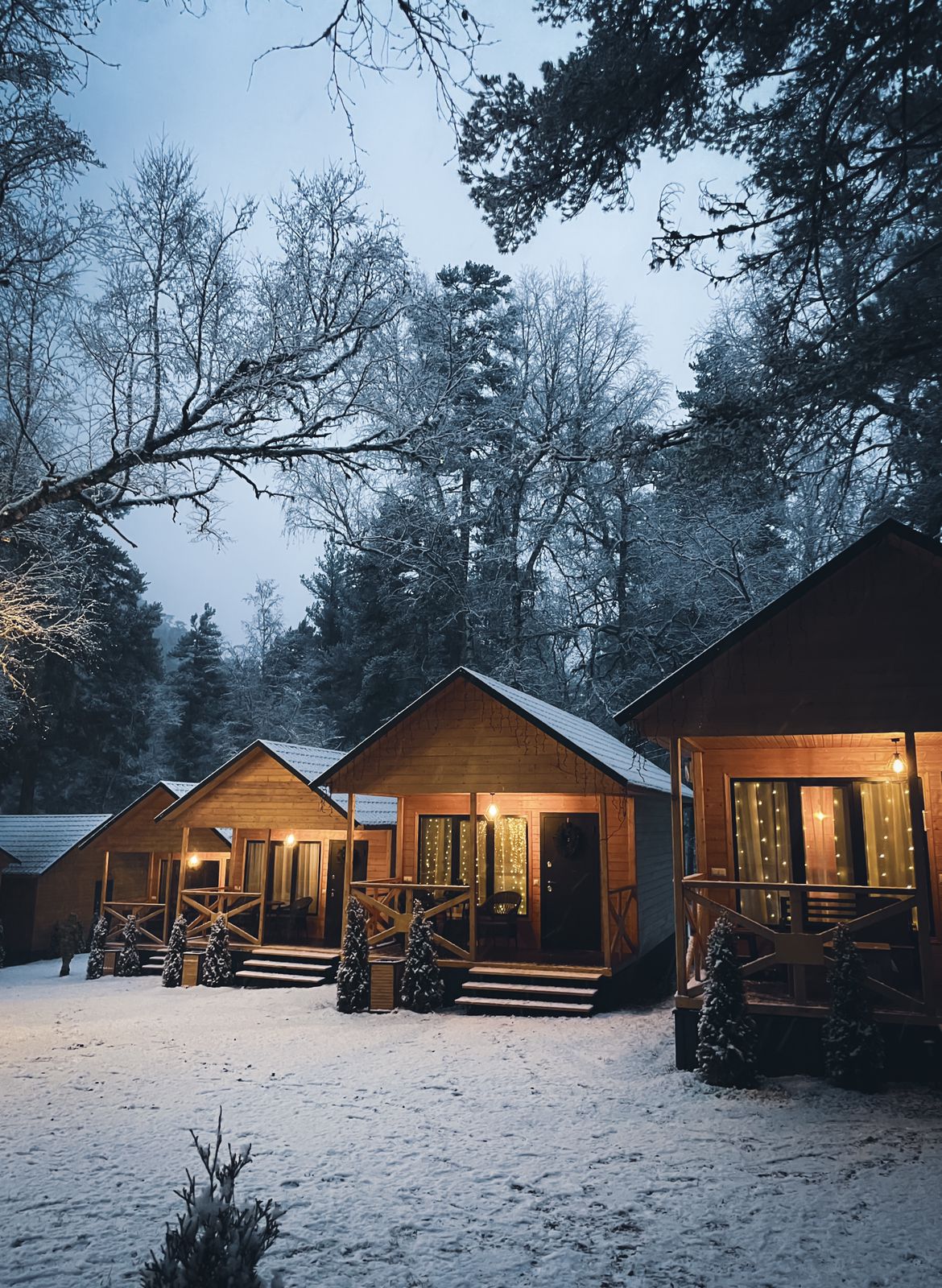 Фото Шале Хвоя