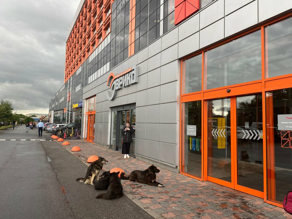 Audit-Market, marketing services, Saint Petersburg, Sedova Street, 11 - Yandex M