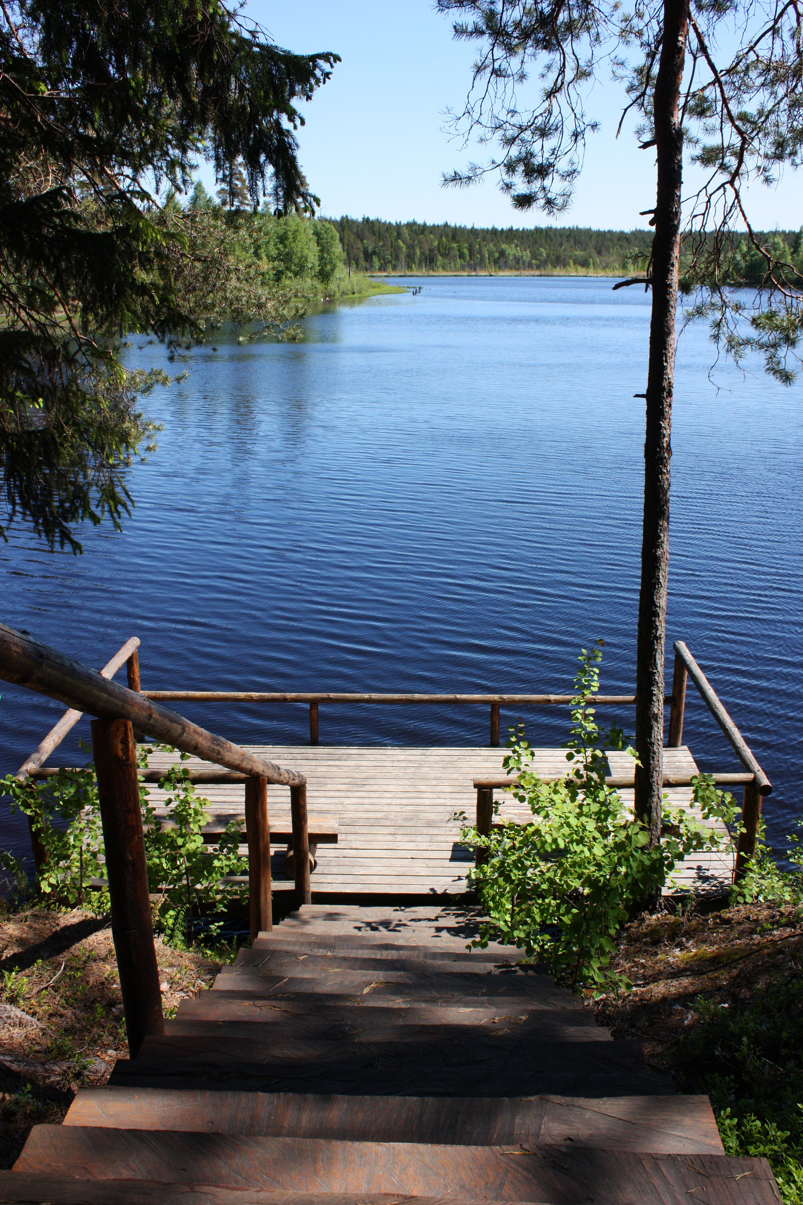 Фото Лесная обитель