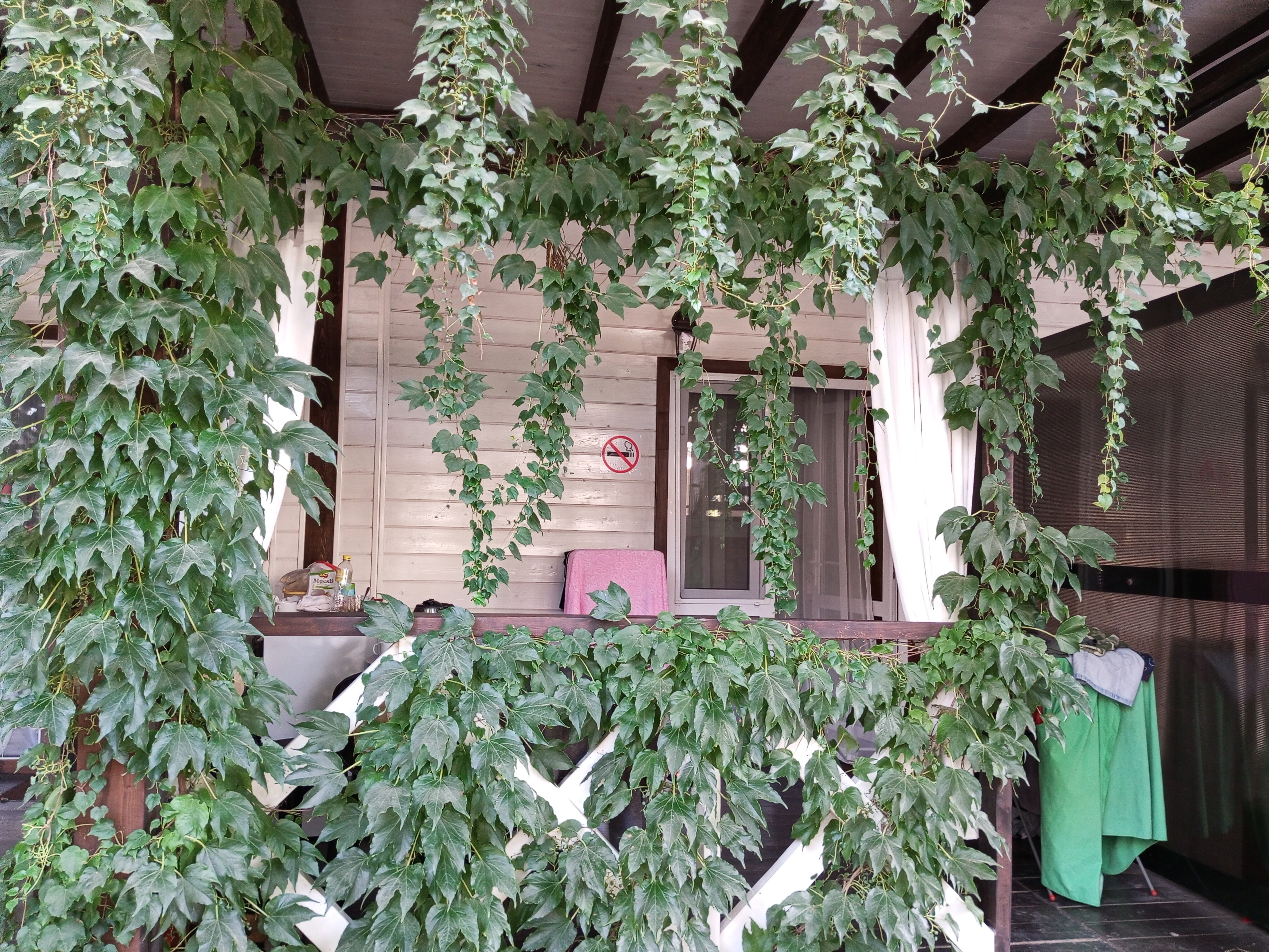 Фото Белая Деревня