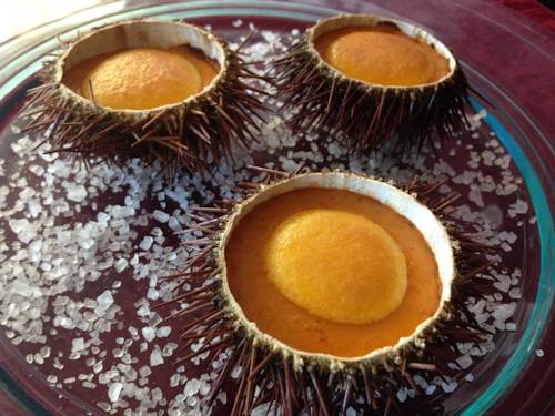 Фото Hotel URH Excelsior