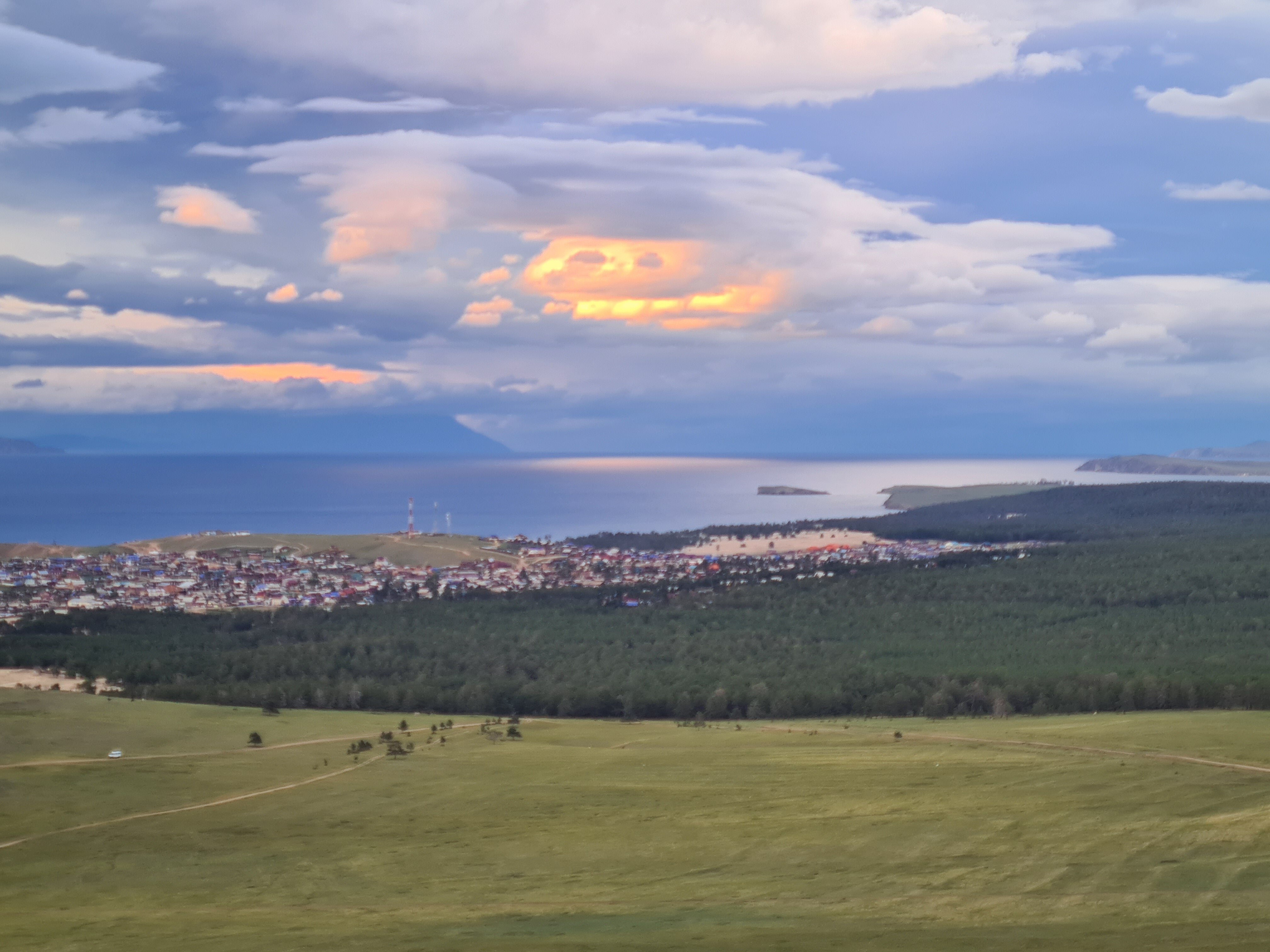 Фото Филоксения