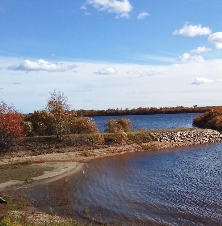 Фото Зейский берег