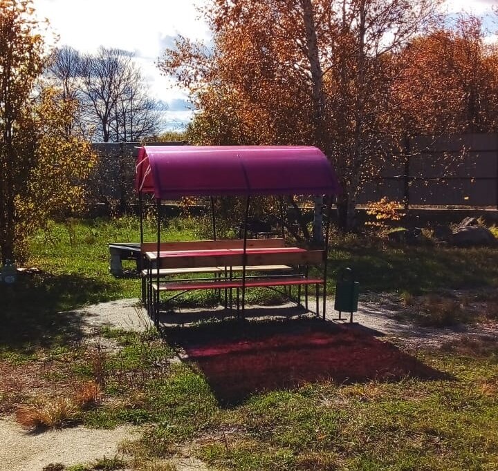 Фото Зейский берег