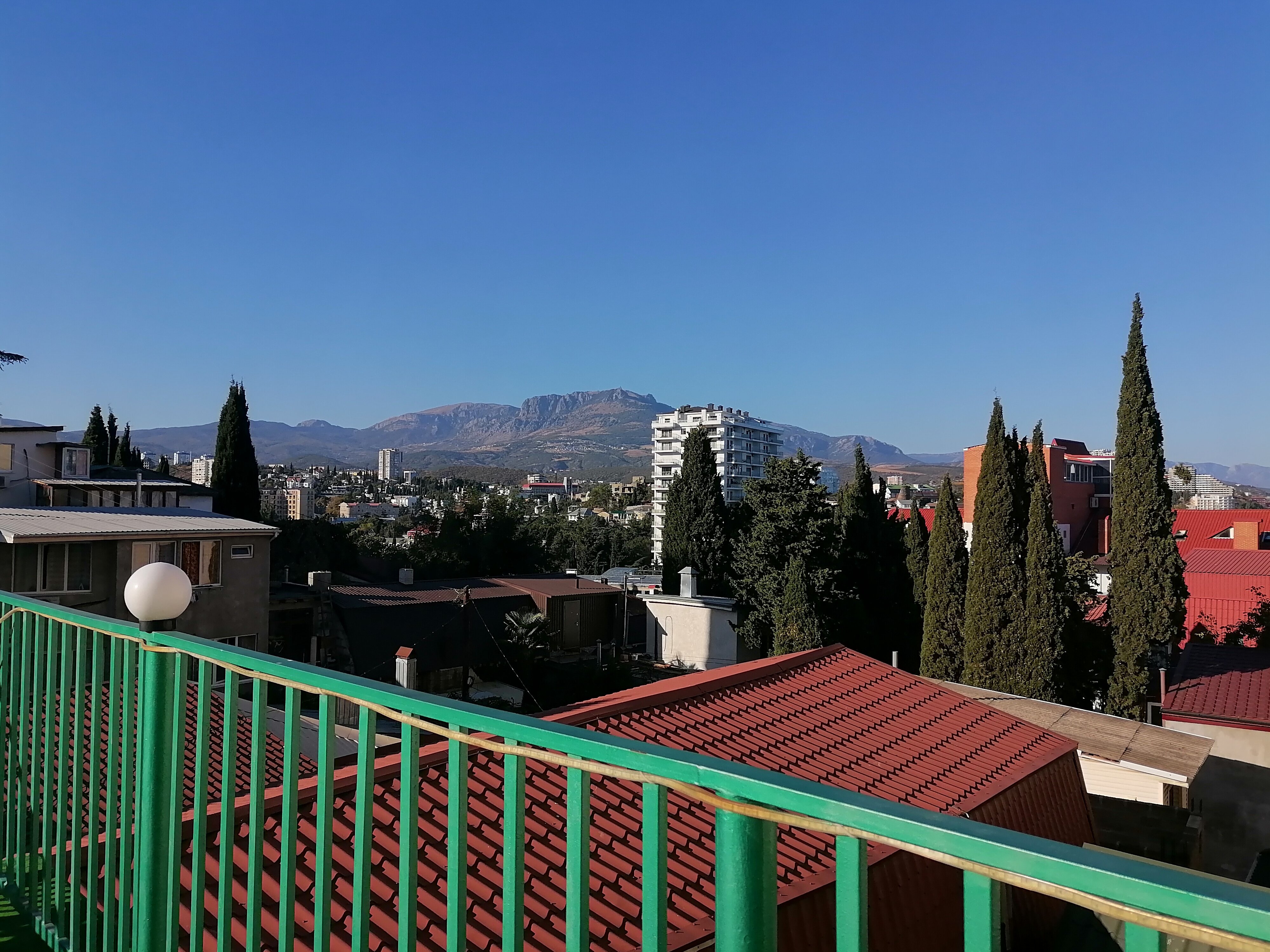 Фото Цитрус