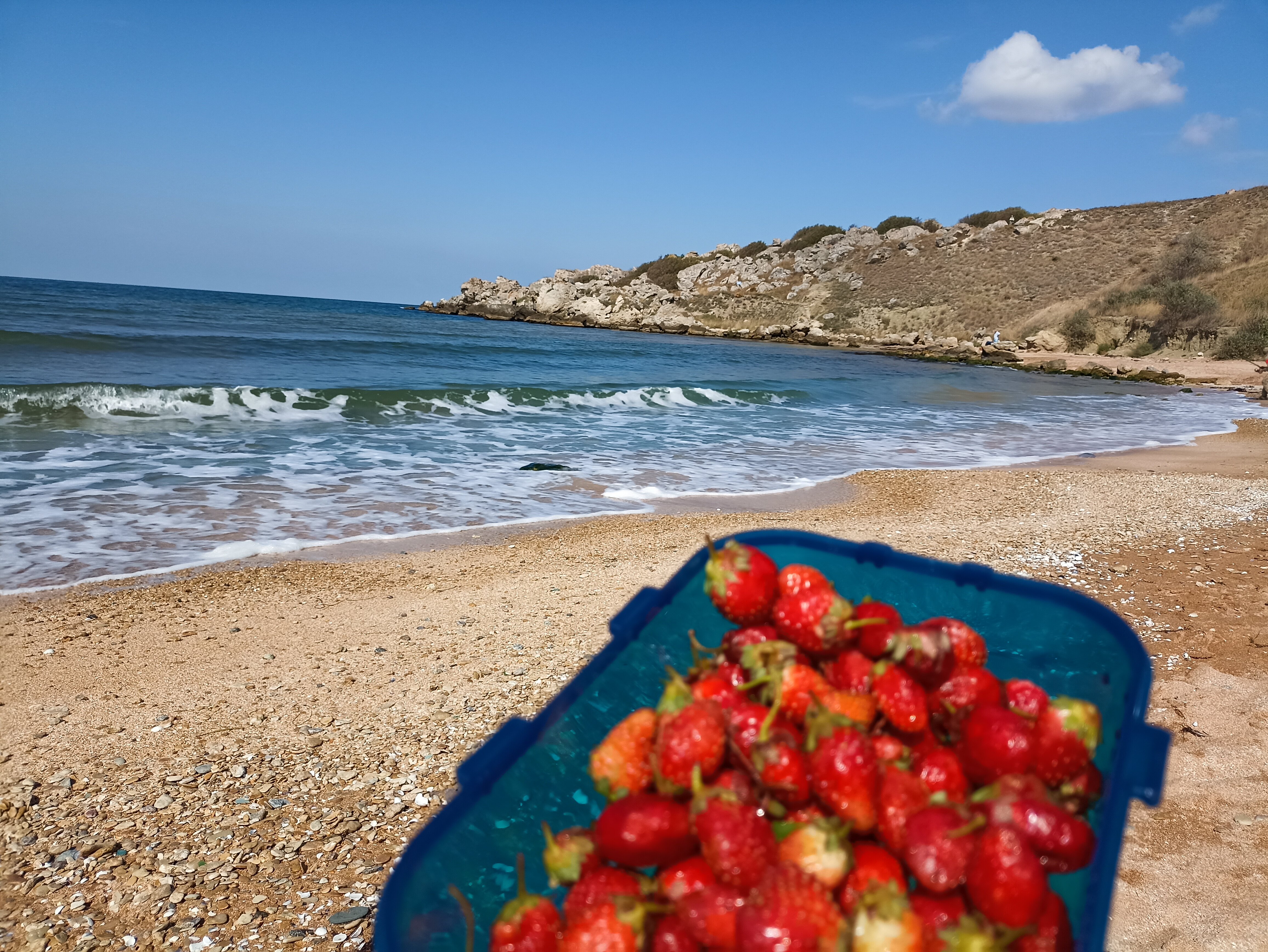 Фото Клуб любителей моря