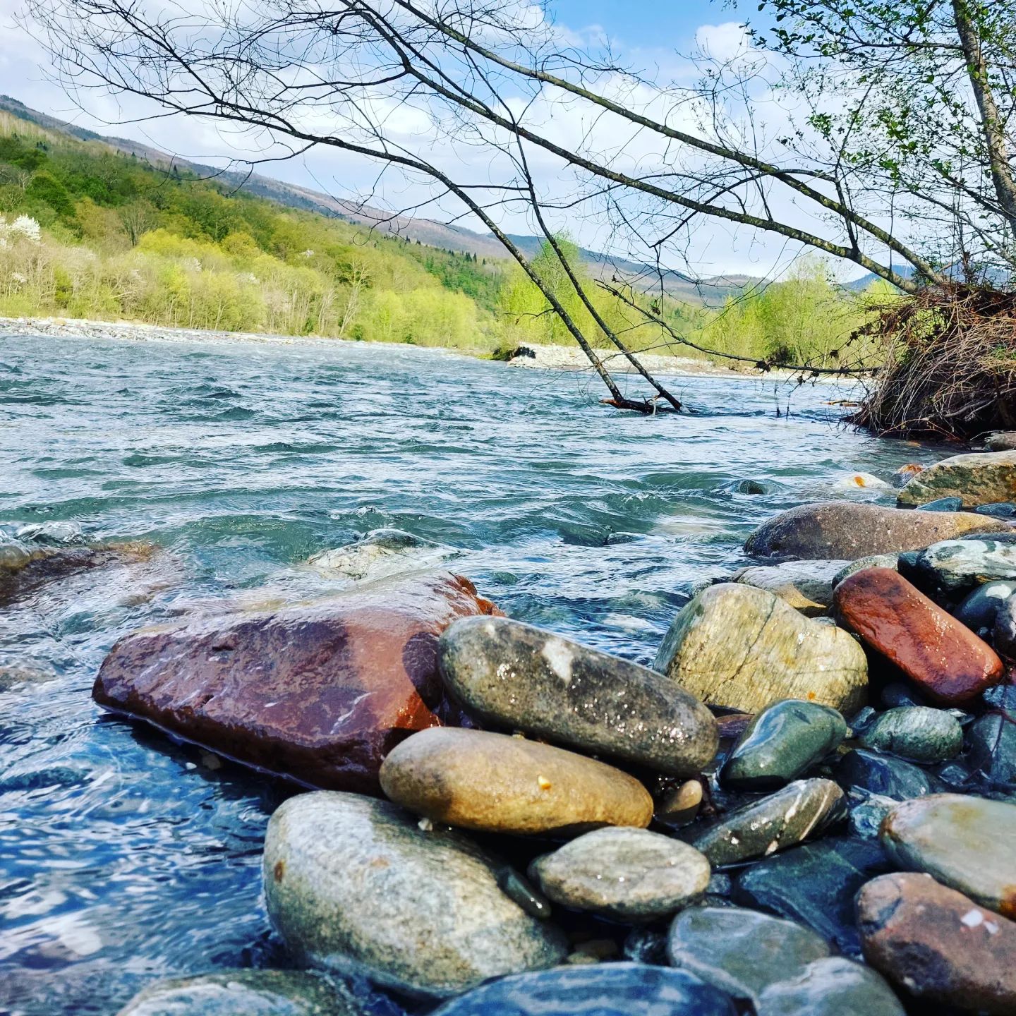 Фото Горное Шале