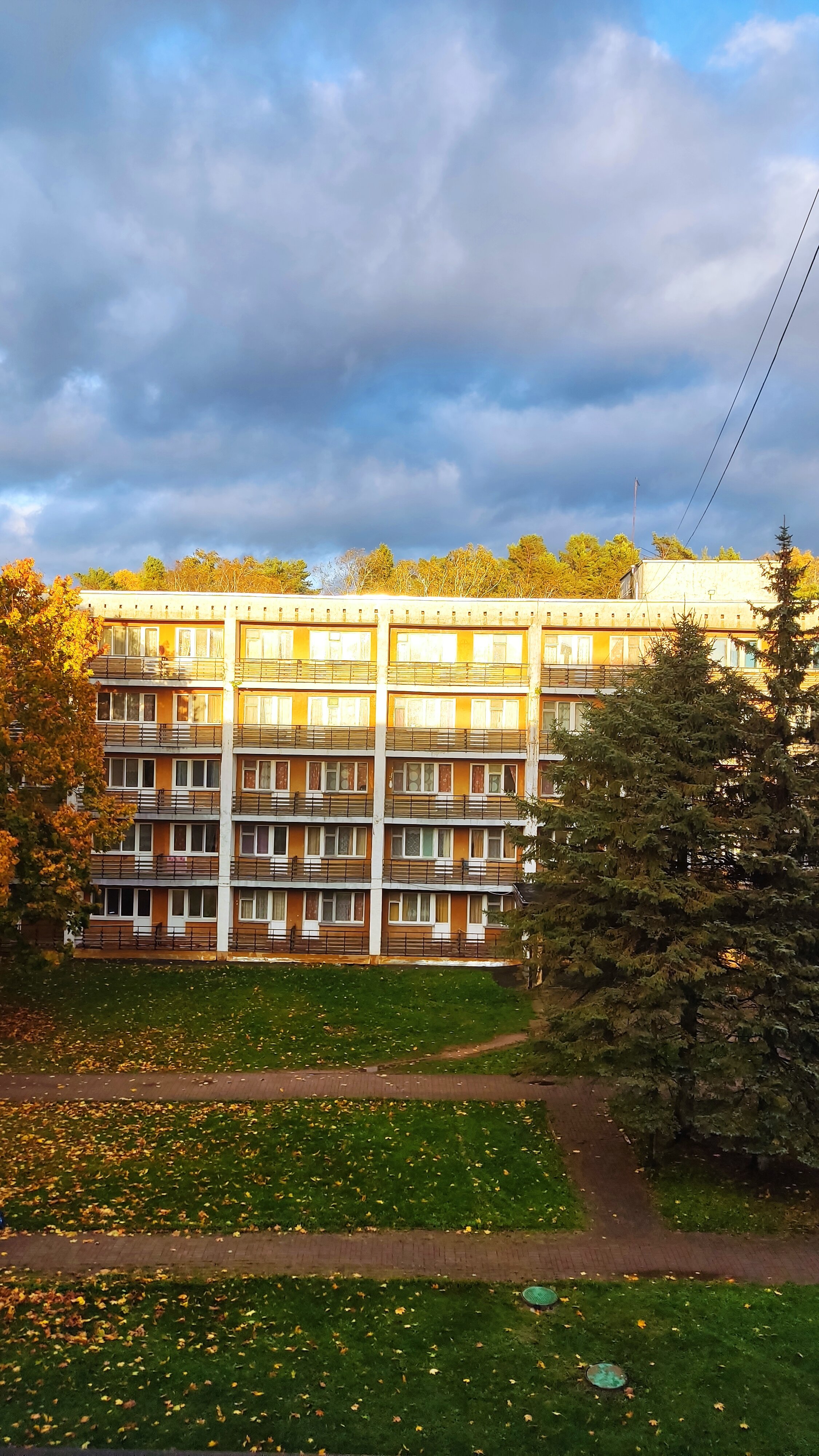 Фото Красный бор