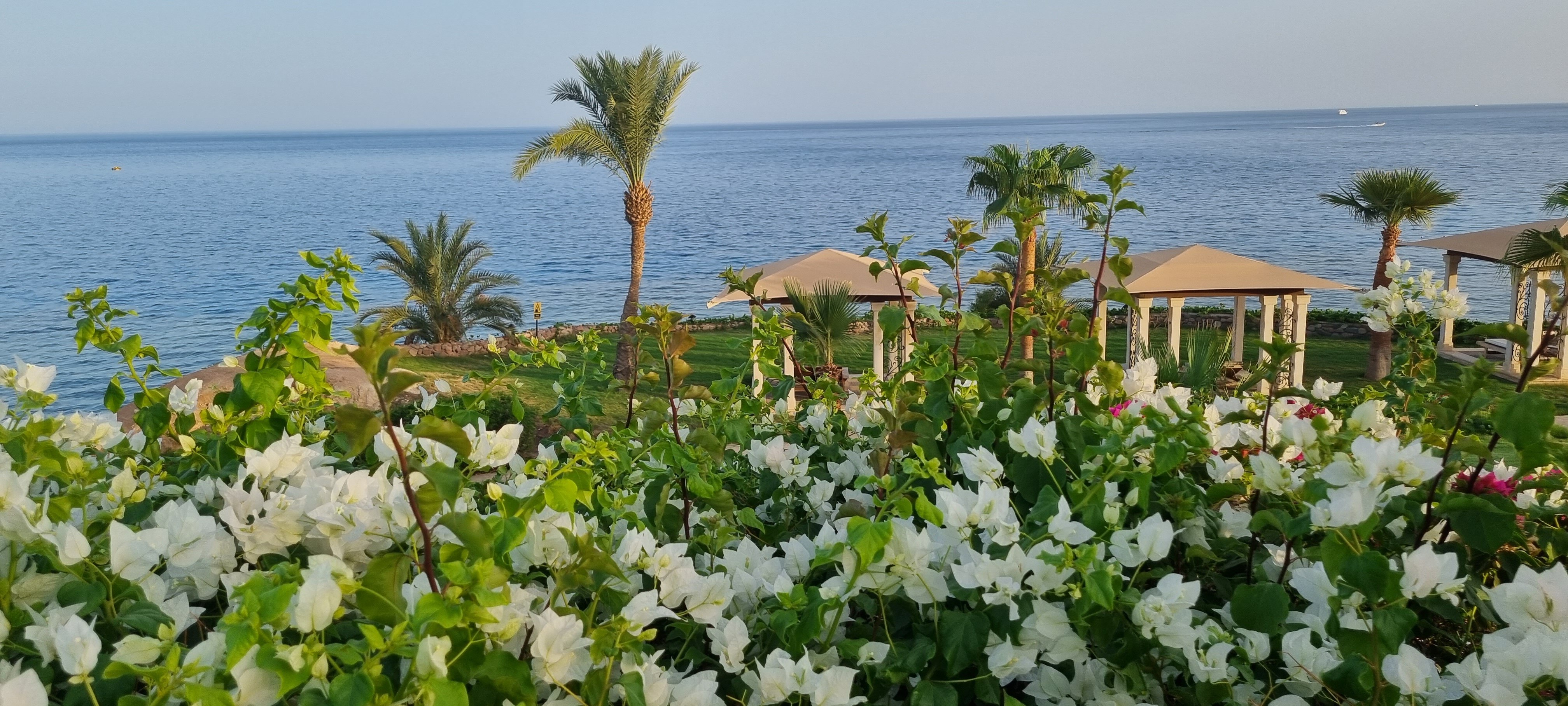 Фото Park Regency Sharm El Sheikh Resort