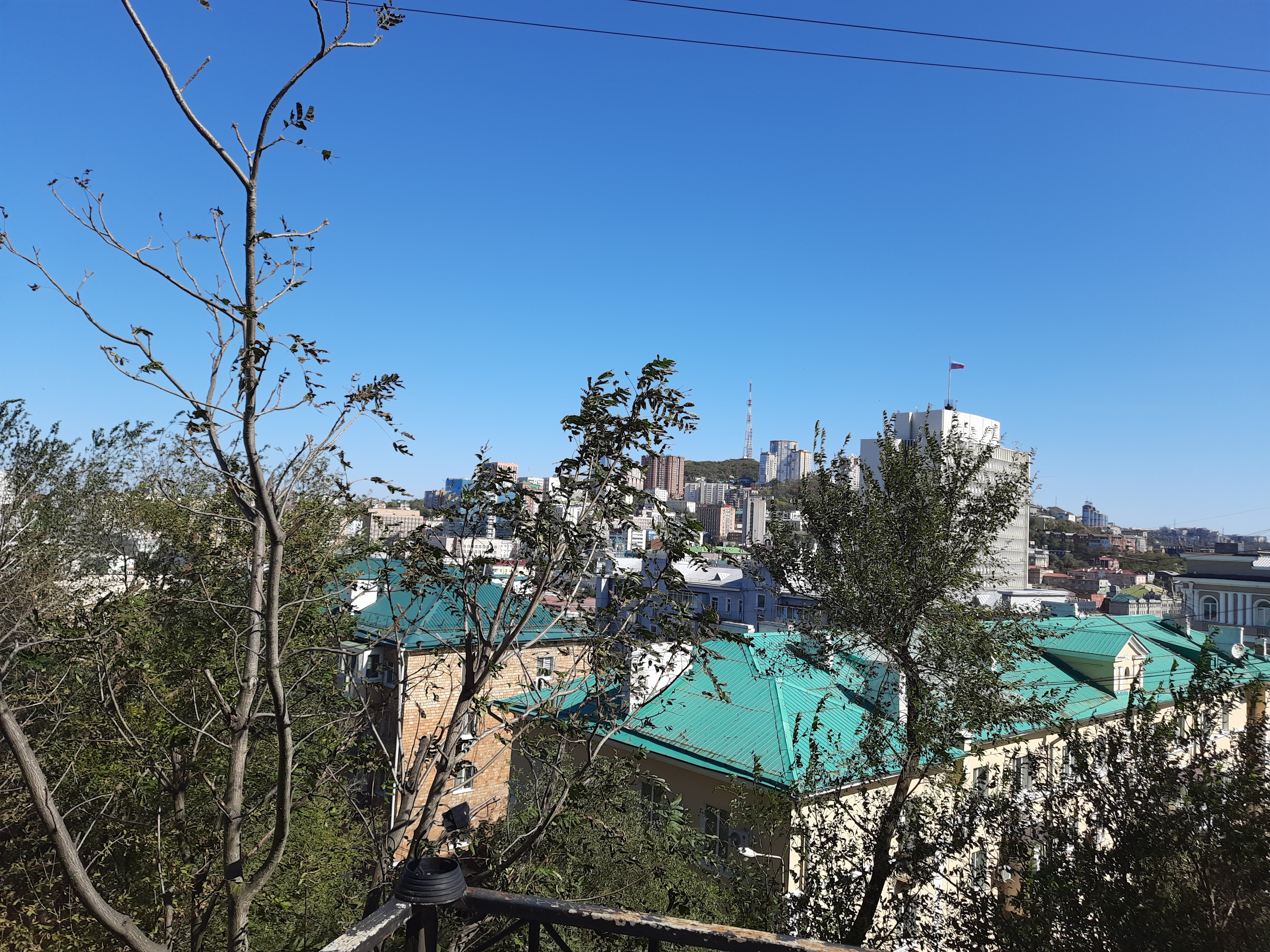 Фото Golden Tiger