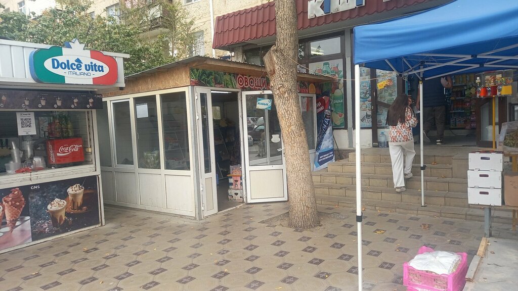 متجر بيع خضر خضروات طازجة Fruit and Vegetable Sales Point ، شيمكنت، صورة