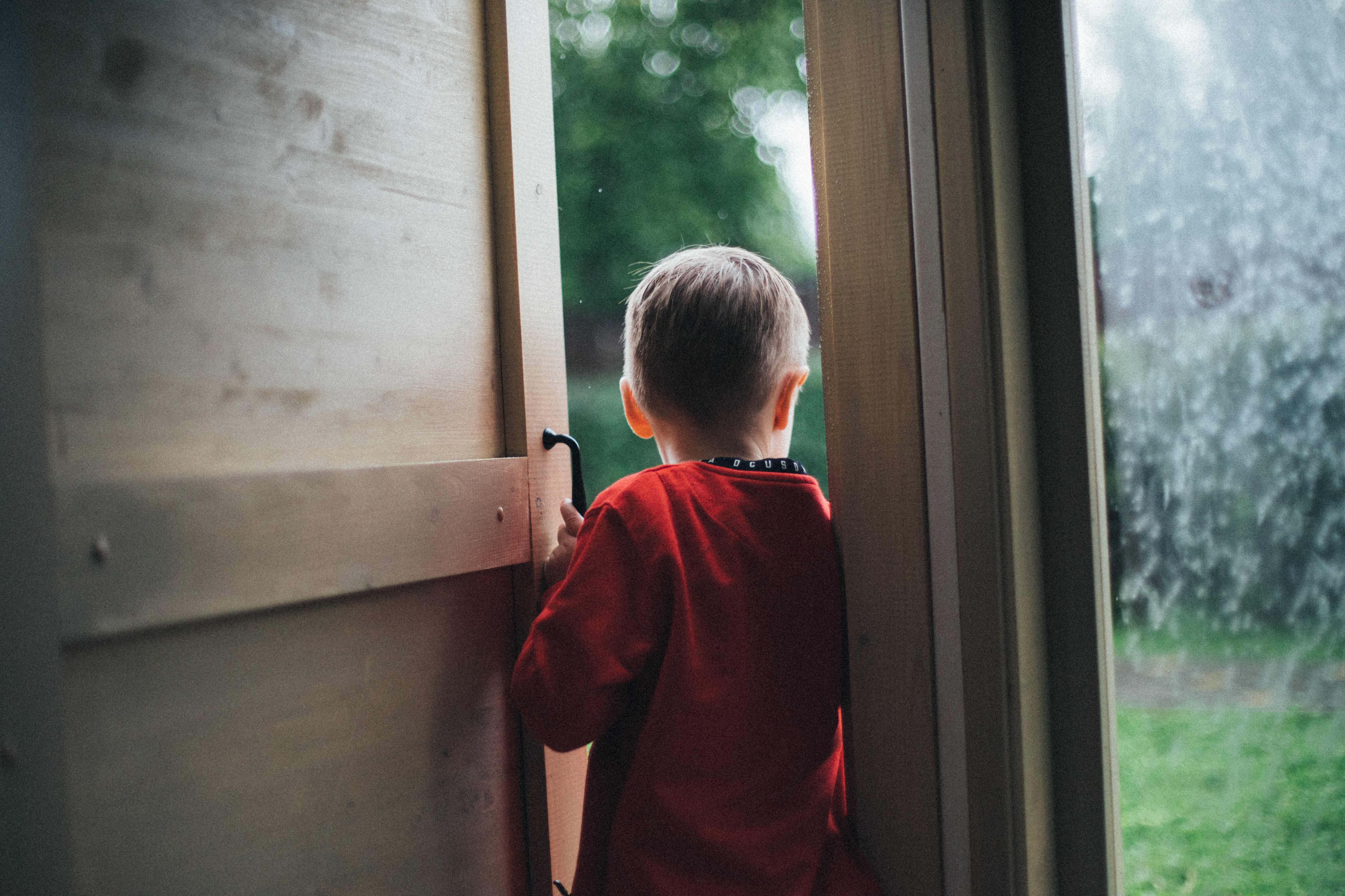 Фото Тополя