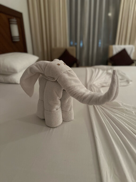 Фото Coral Sands Hotel