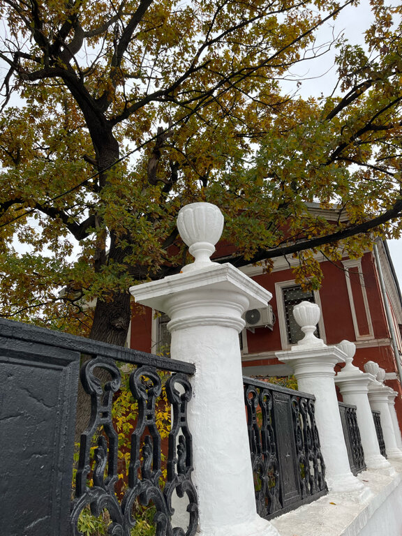 Фото Профит