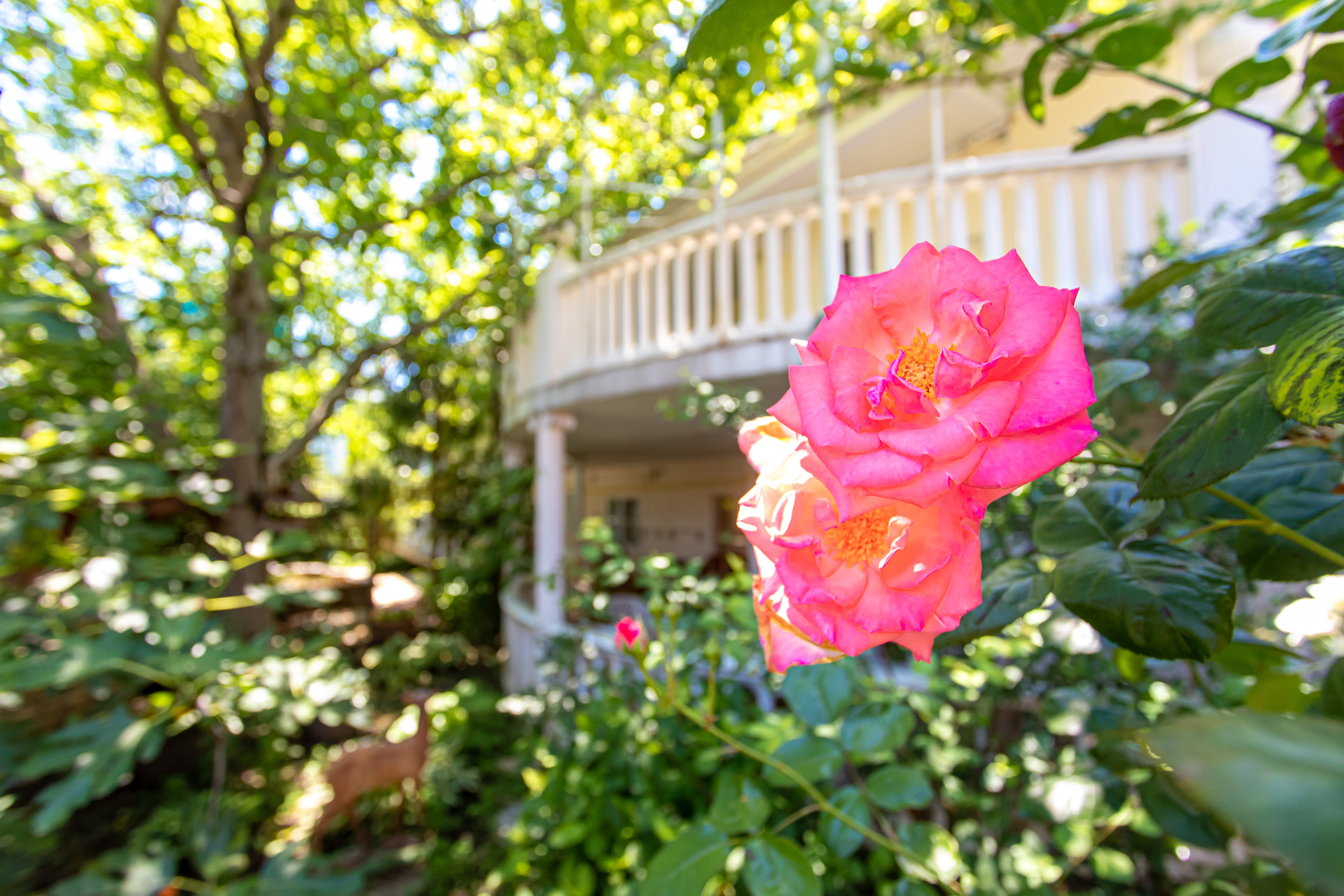 Фото Парфенон