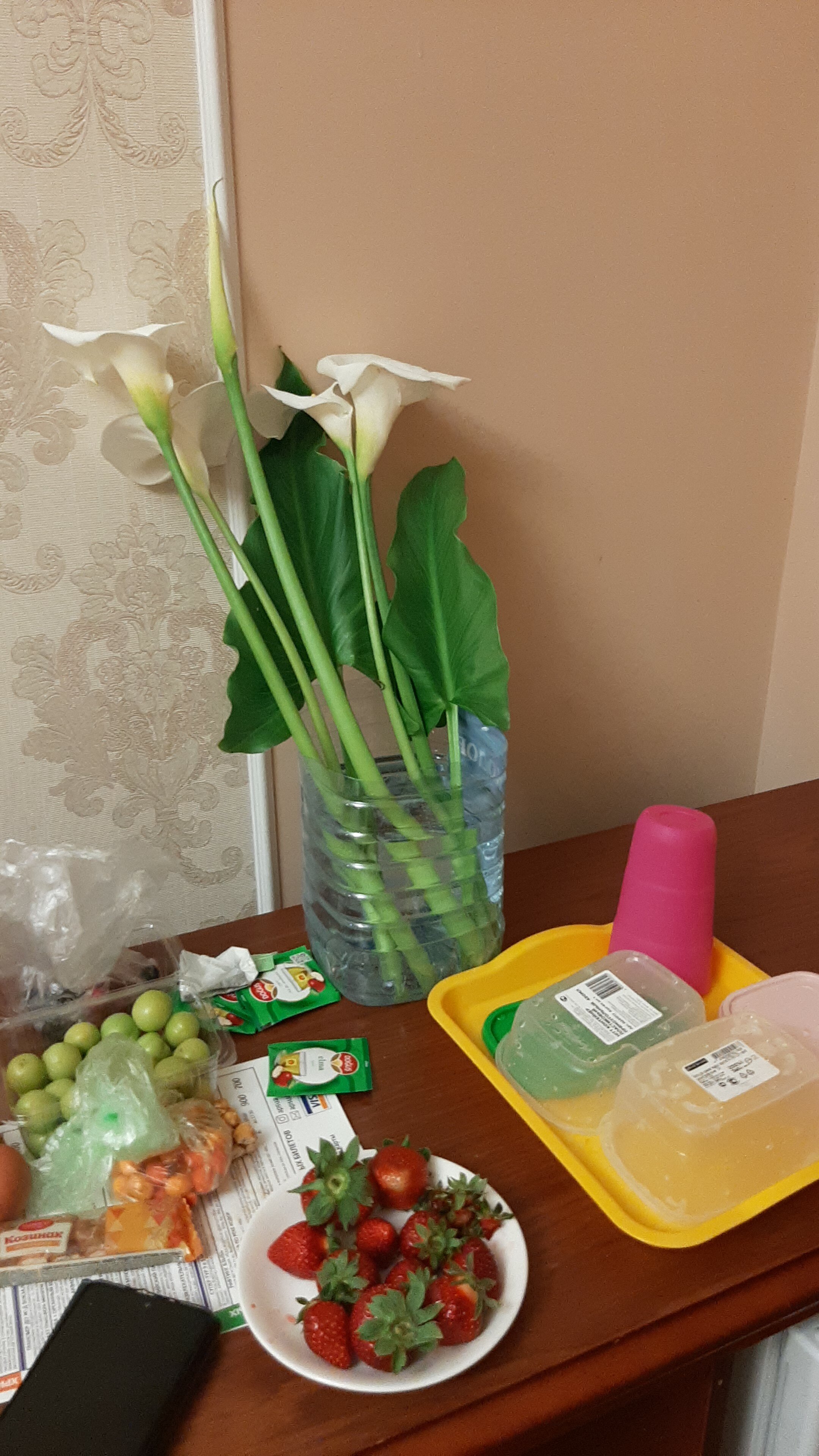 Фото Диоскурия