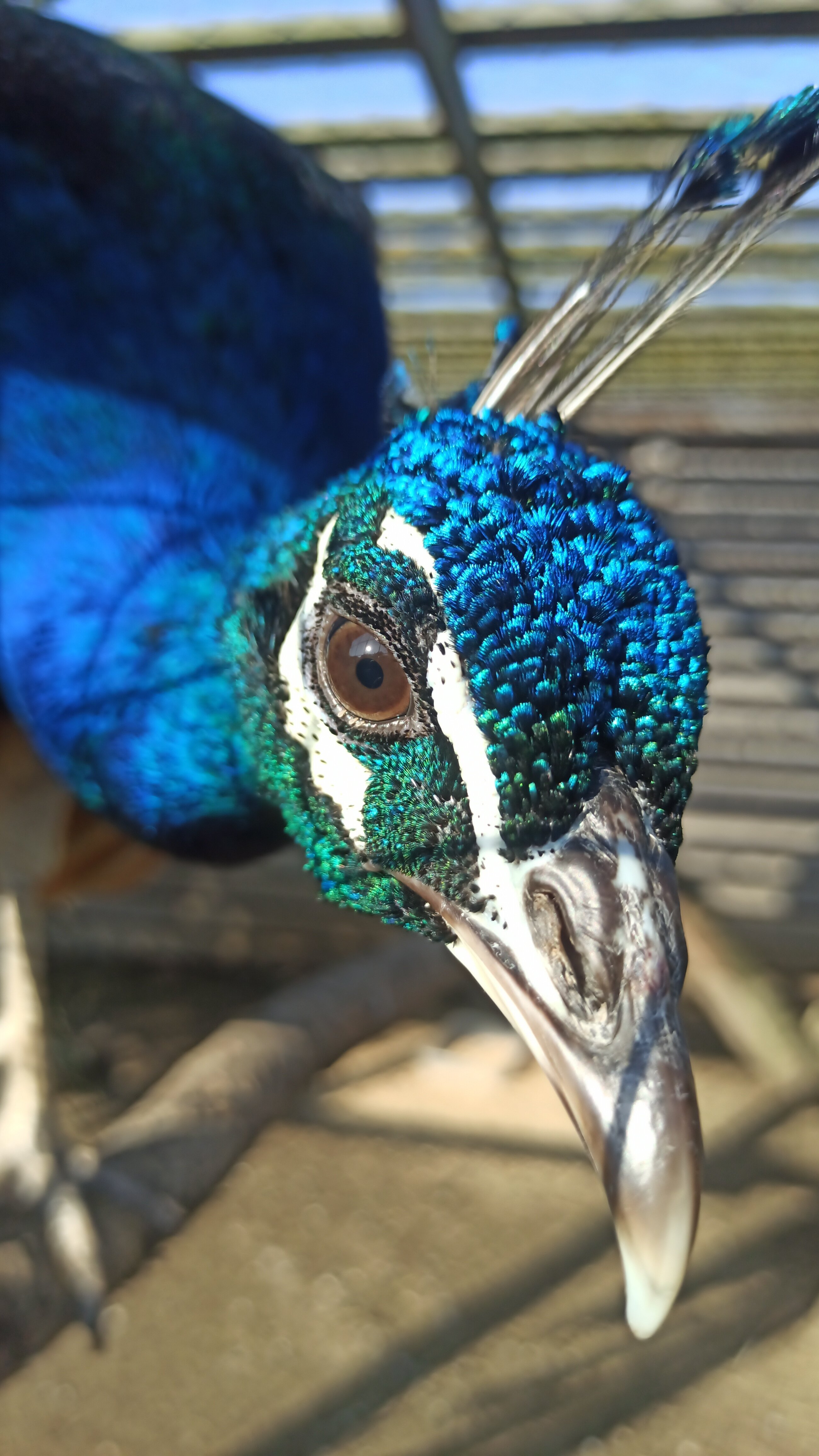 Фото Казантип центр