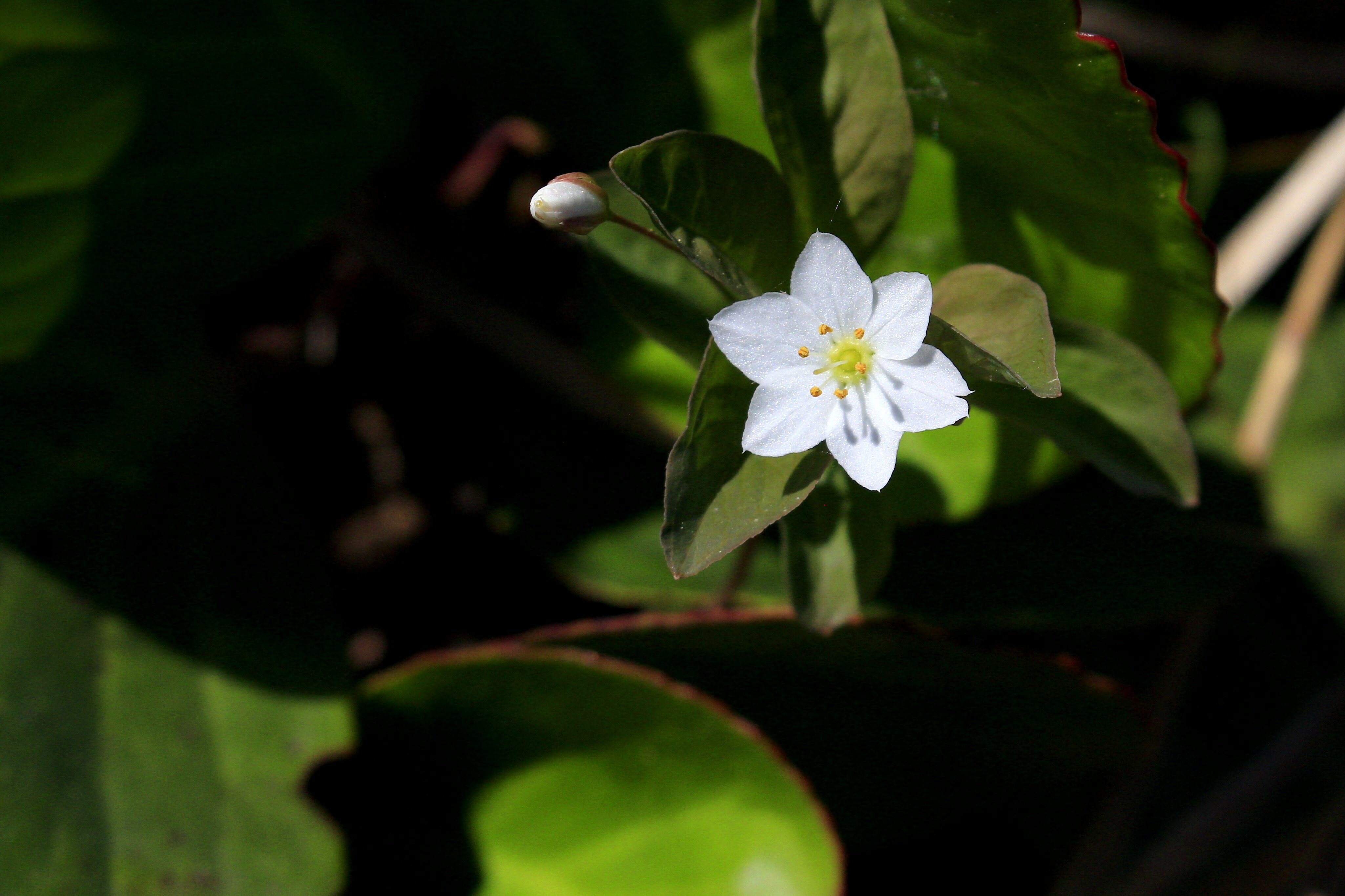 Фото Лагуна