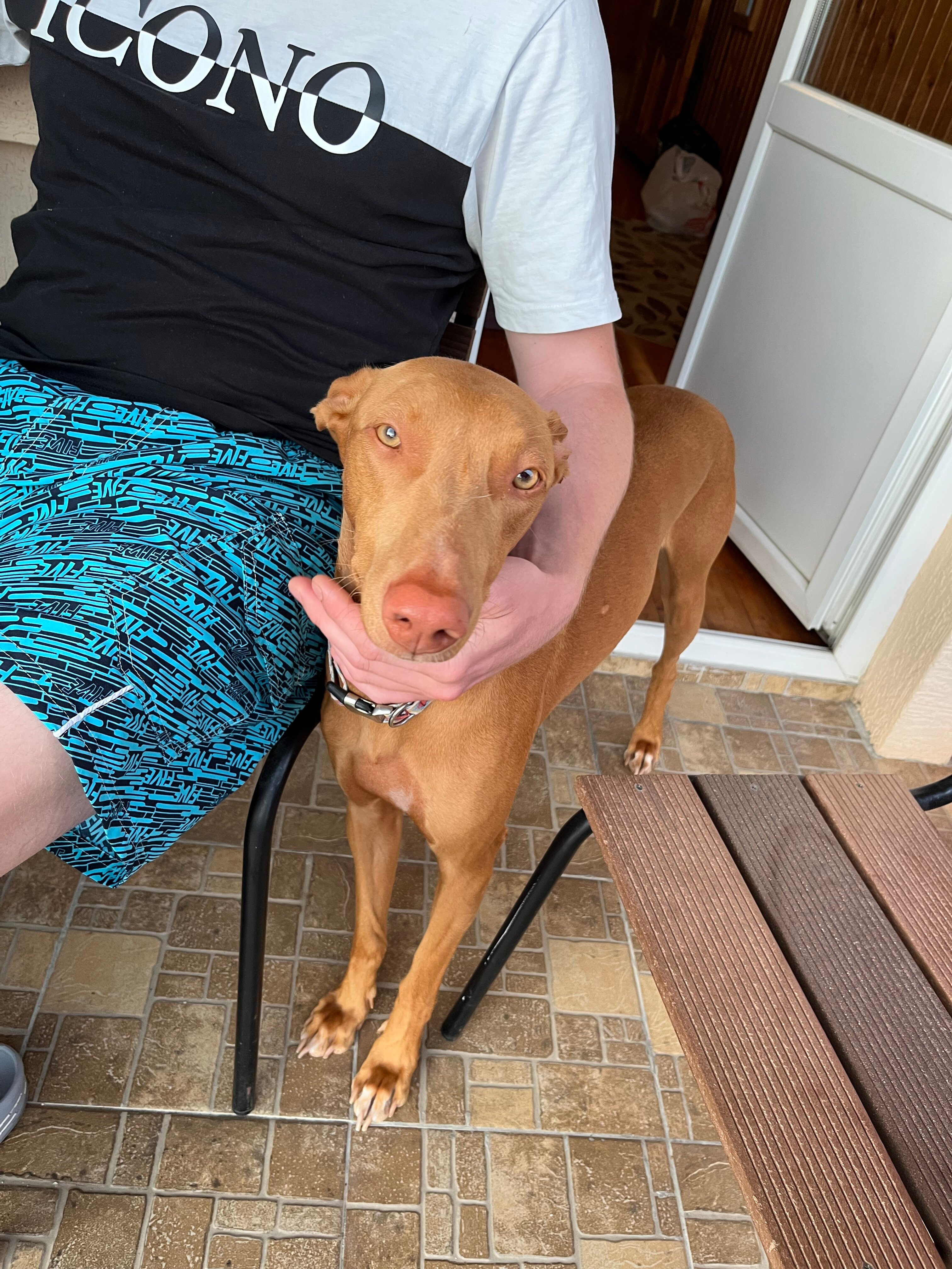 Фото Мохито