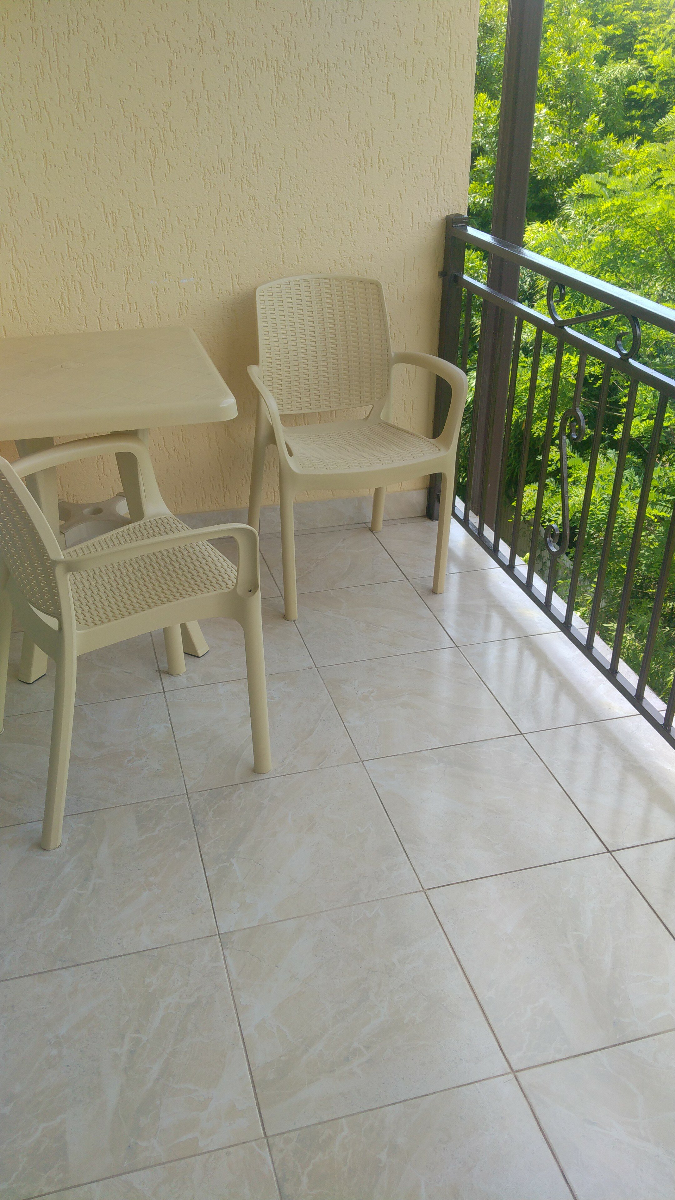 Фото Лаванда