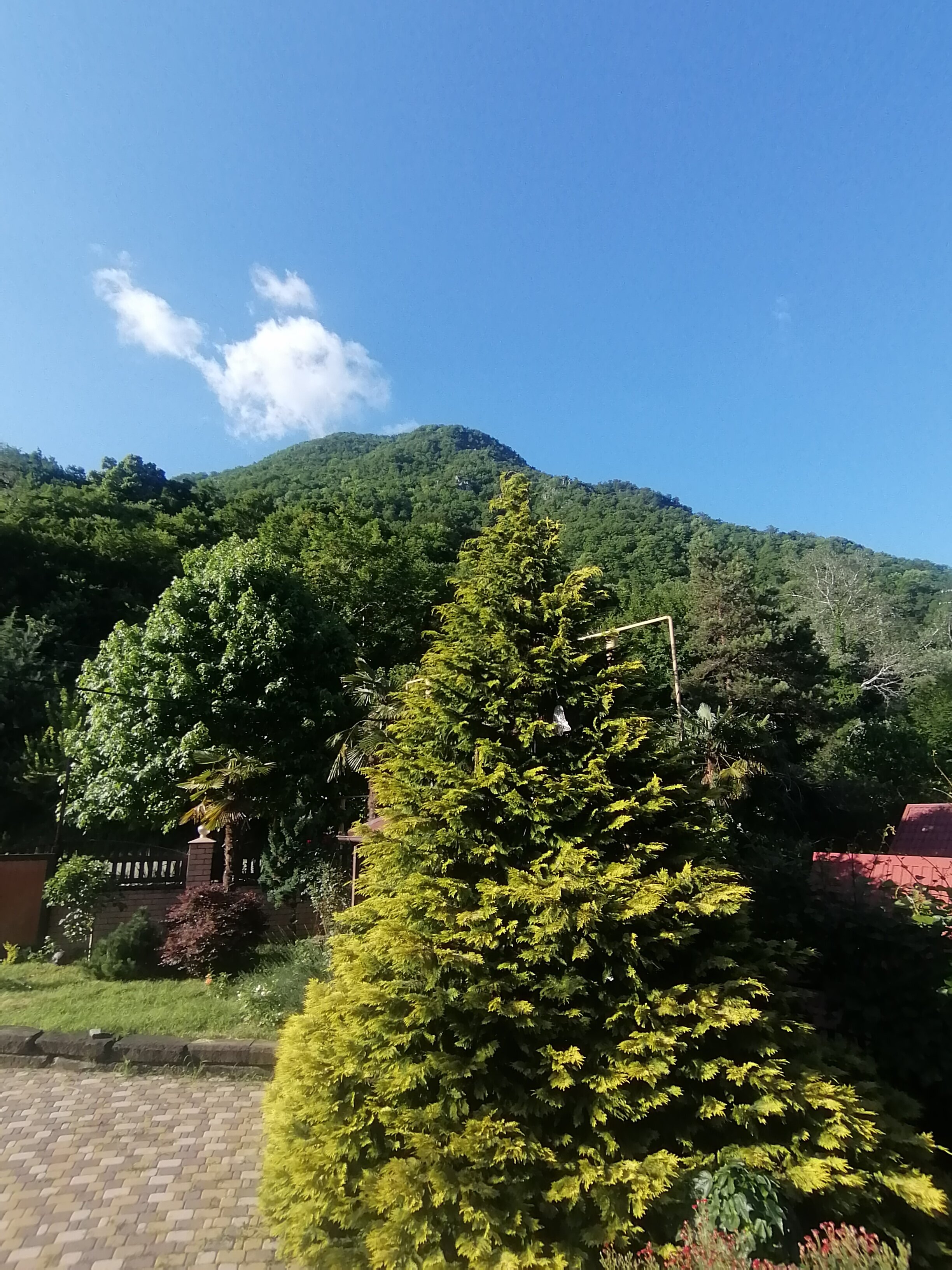 Фото Высота