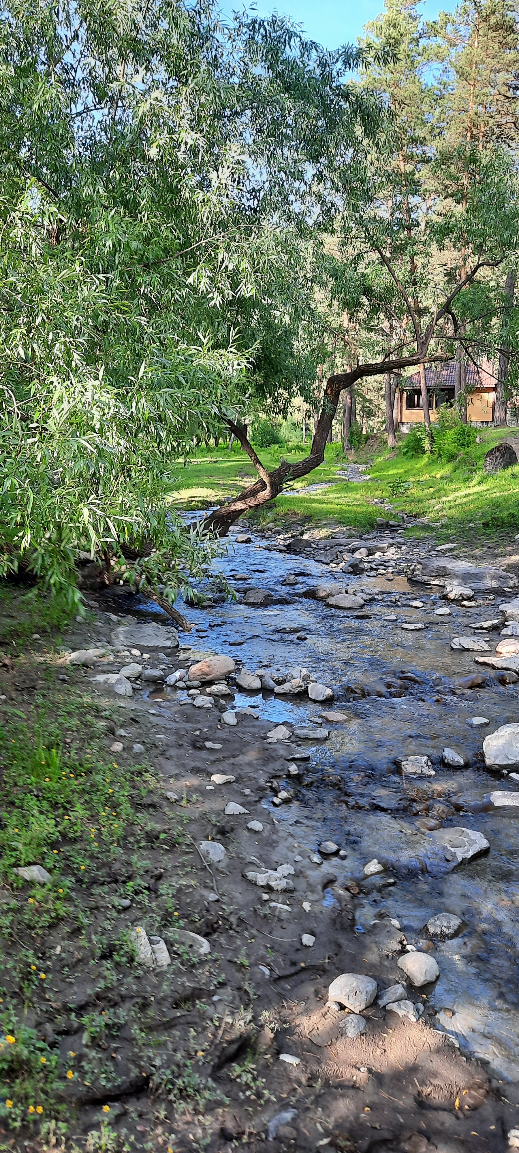 Фото Лесная Лагуна