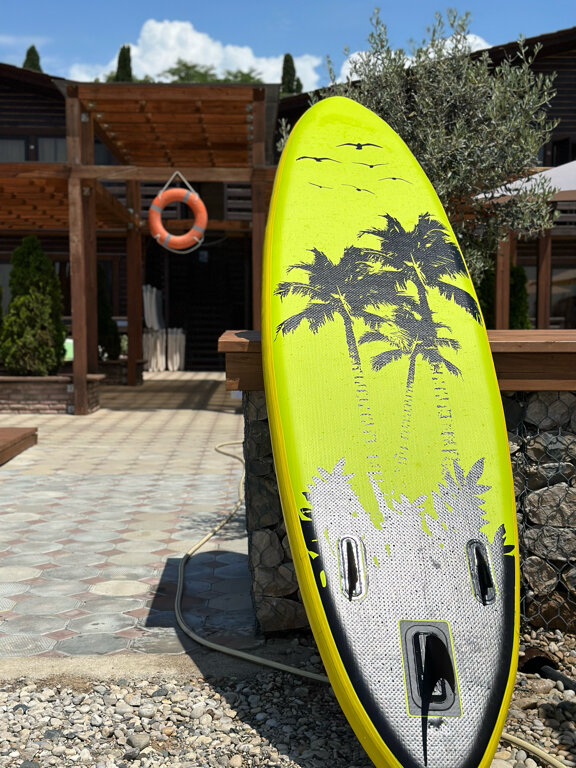 Фото Аламыс