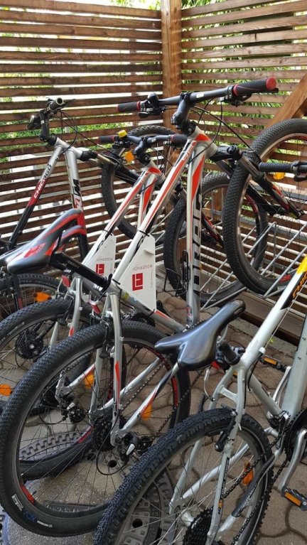 Фото Hotel Moserhof