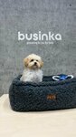 Businka (Khodynskaya Street, 2), pet salon