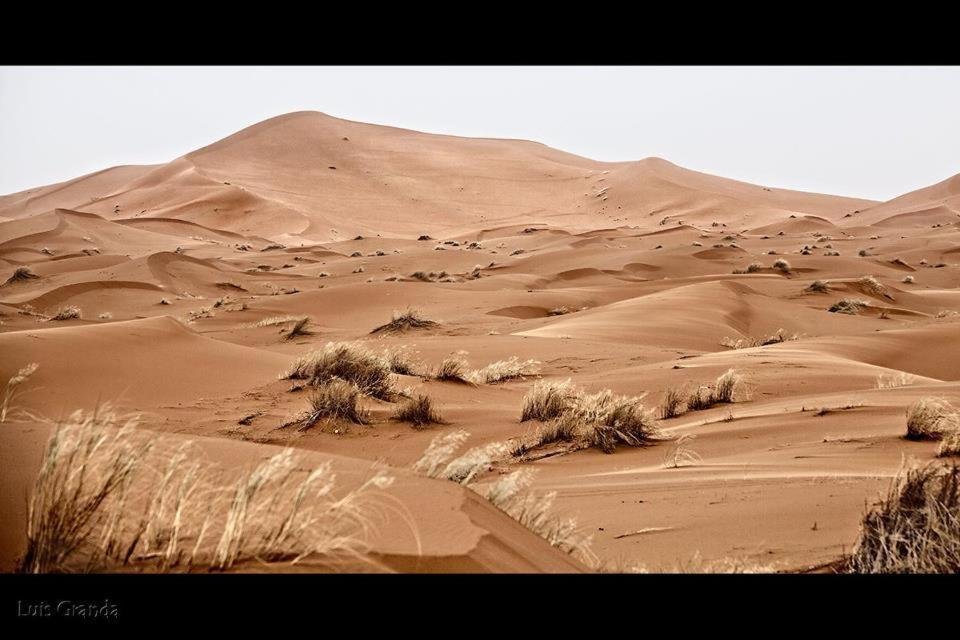 Фото Bambara Desert Camps