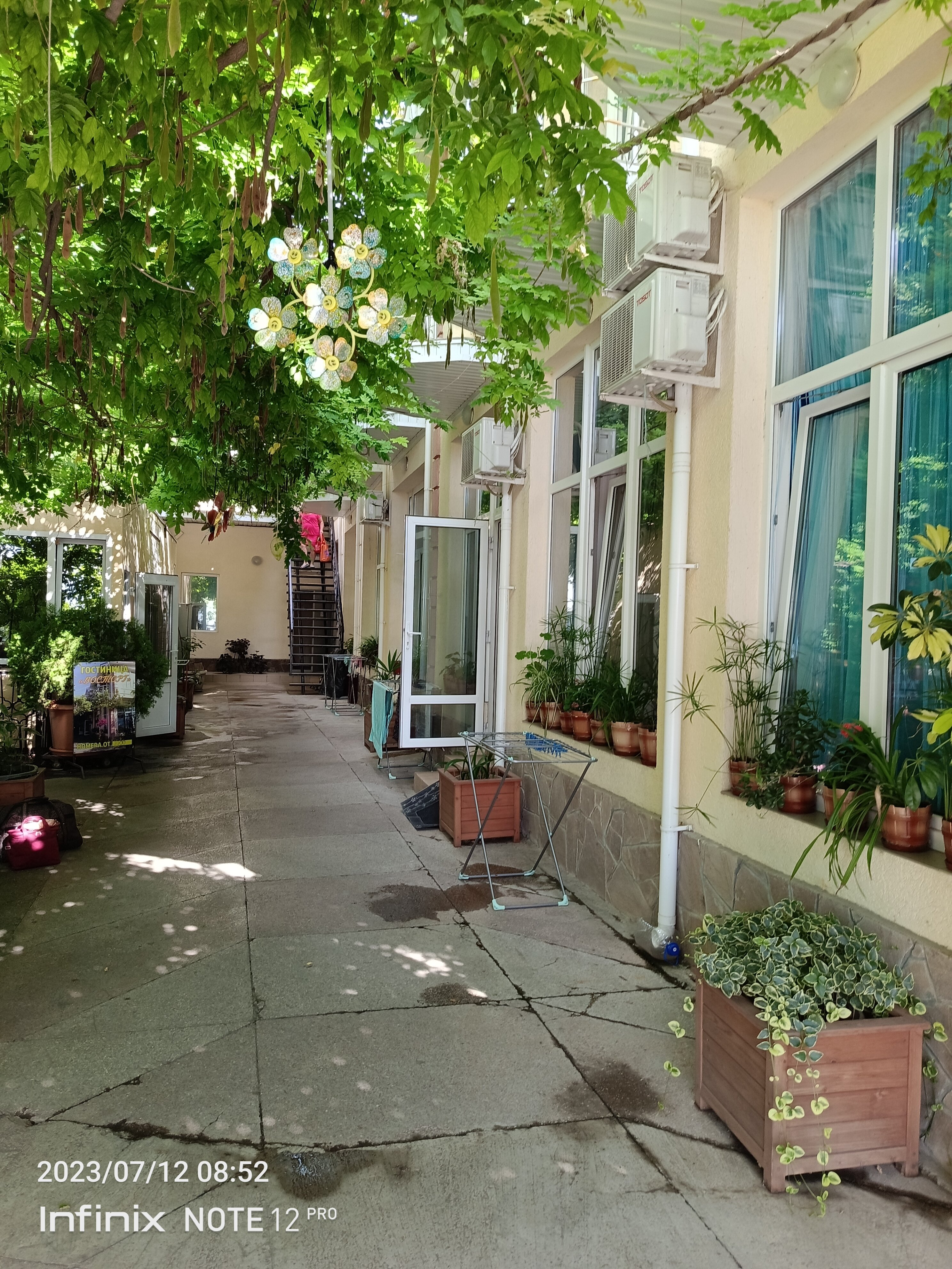 Фото Восторг