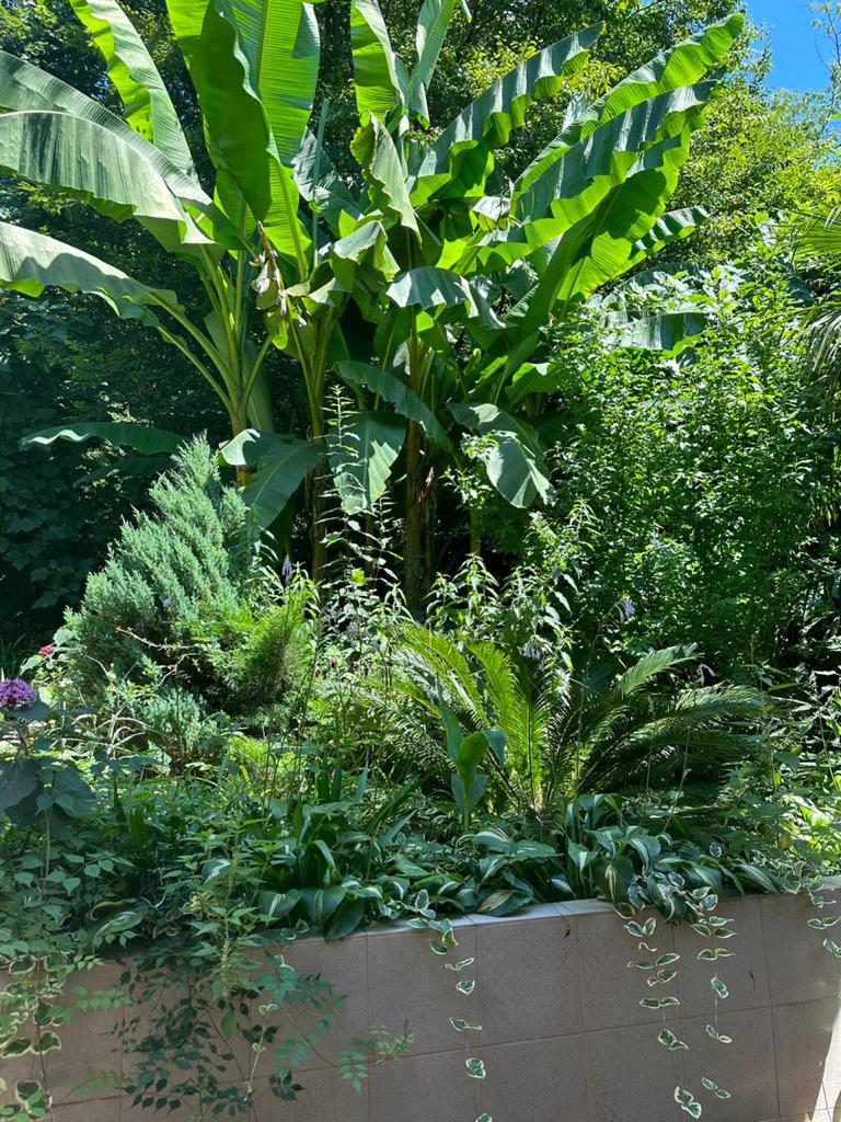 Фото Наталья