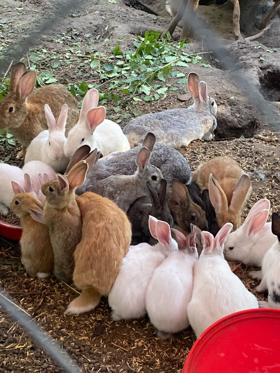 Фото Кантри Хоум