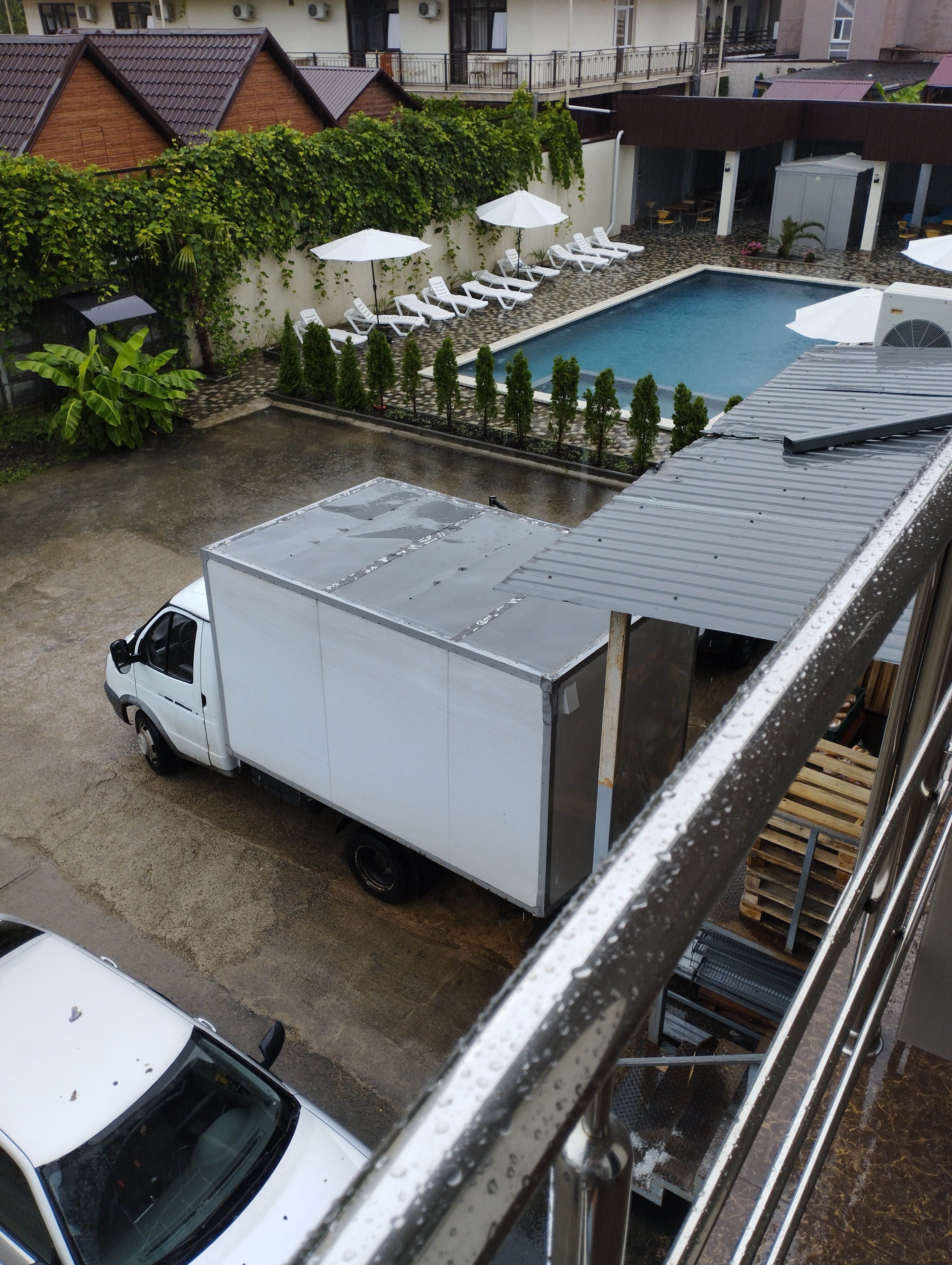 Фото Афалина+