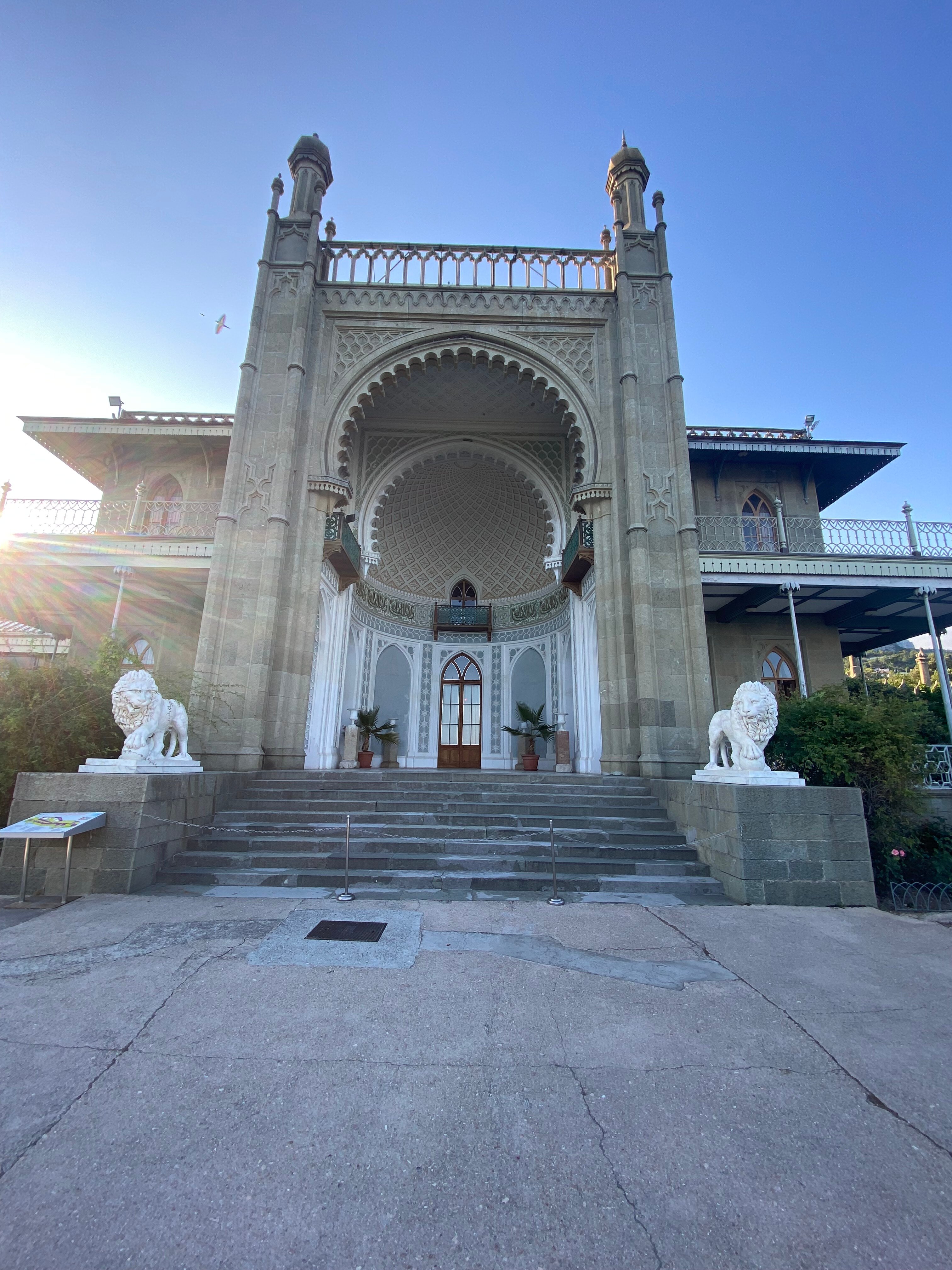 Фото Камелия