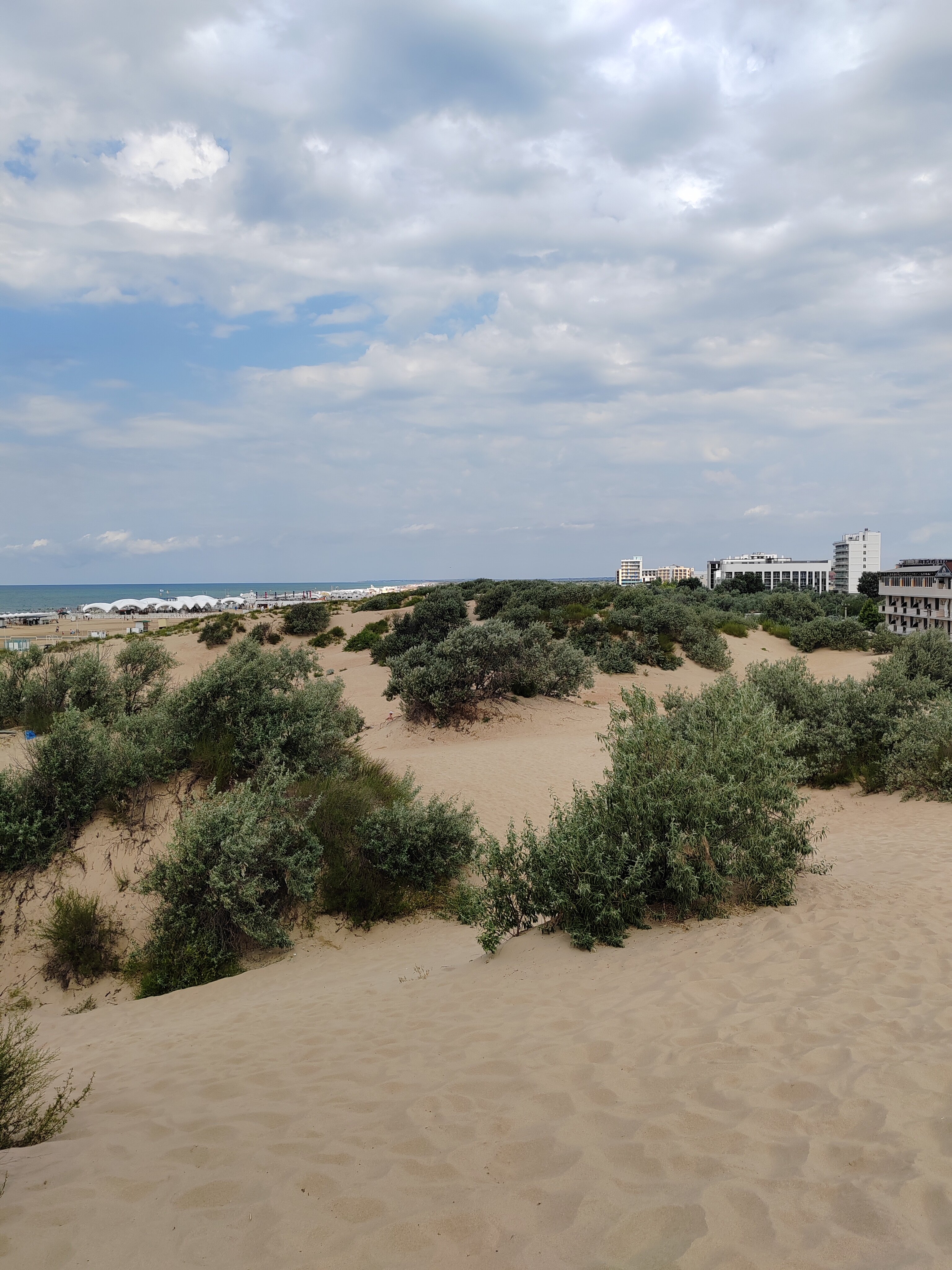 Фото Пианида