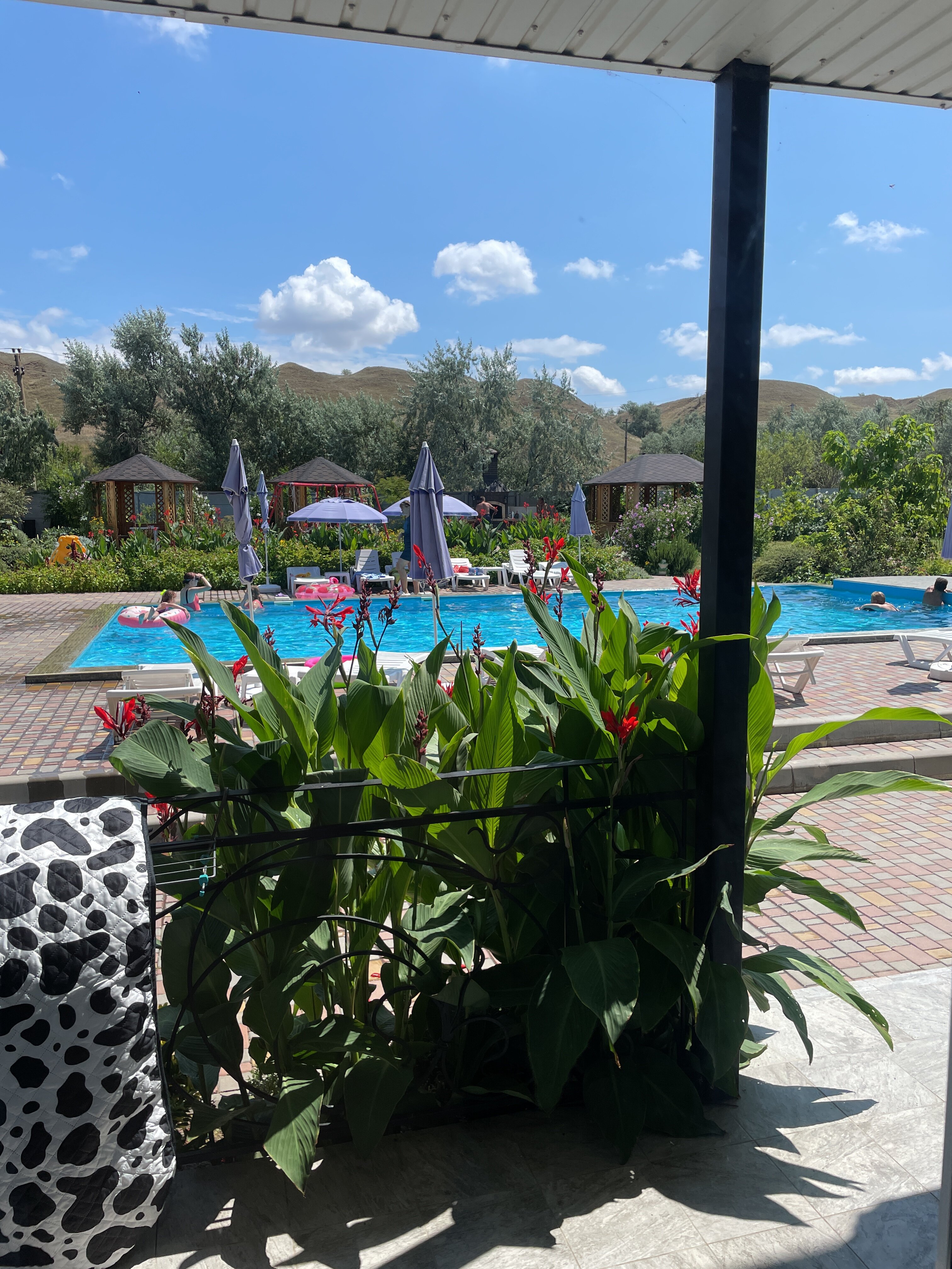 Фото Империал