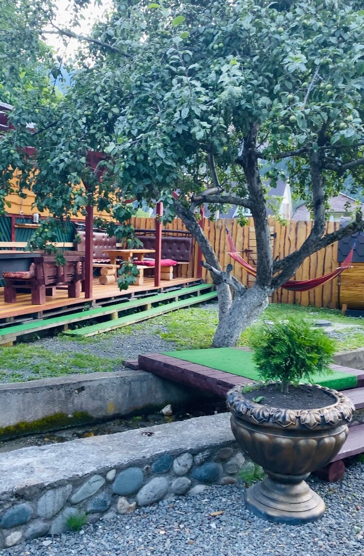 Фото Райские яблоки