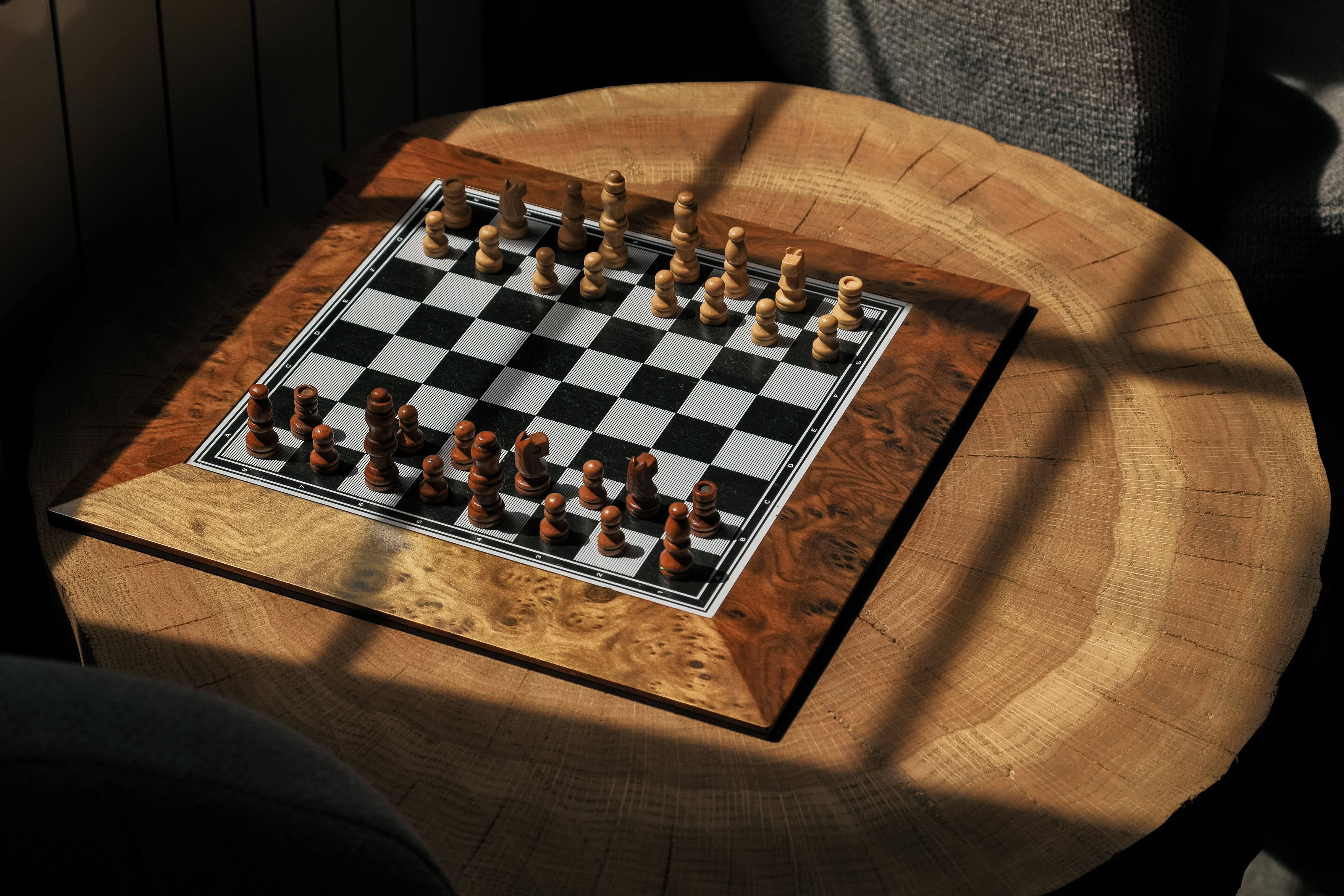 Фото Мельница