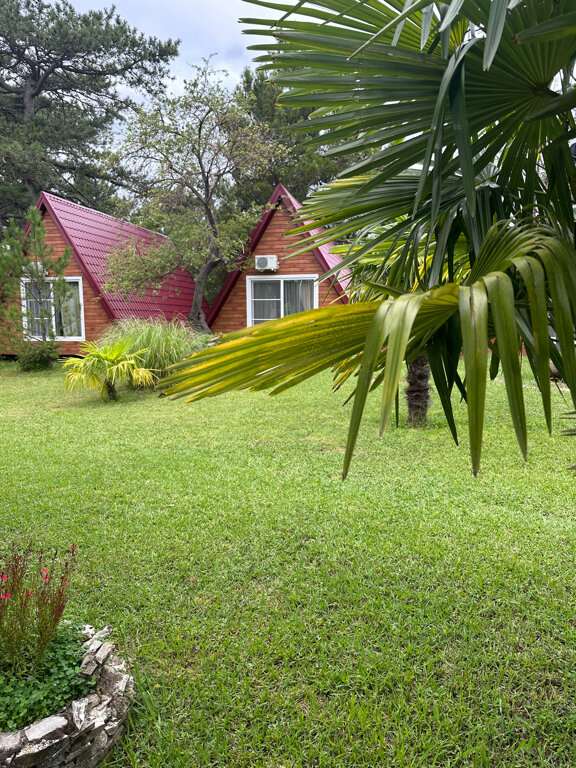 Фото Лунная поляна