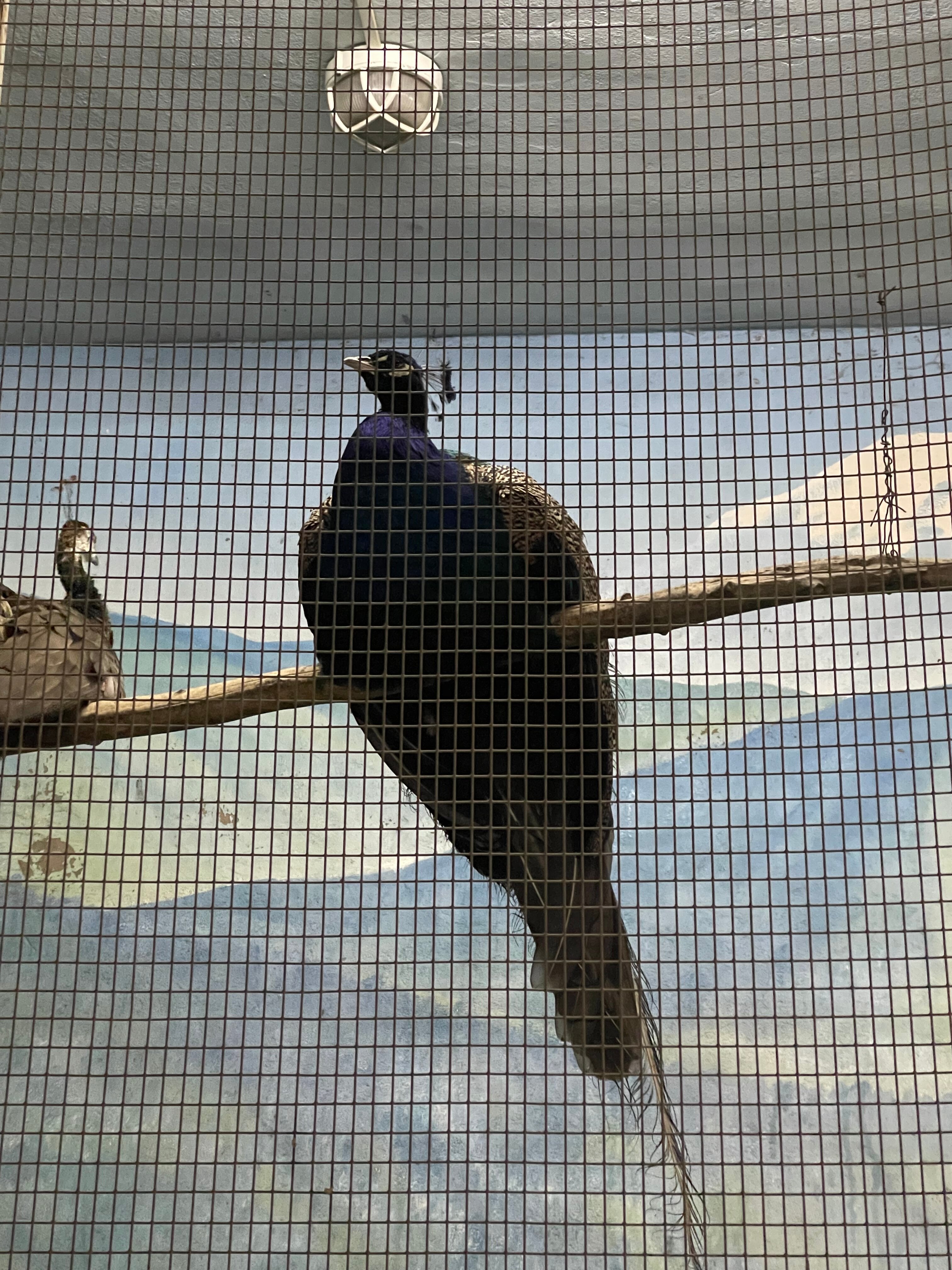 Фото Шахристан